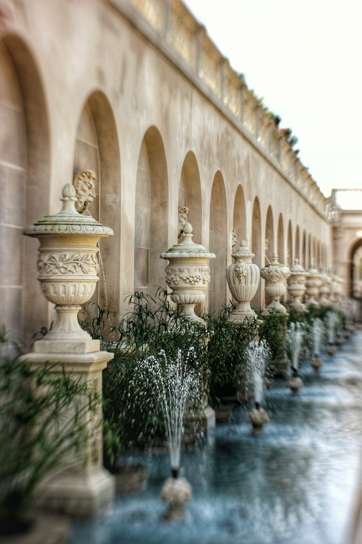 Lensbaby - Sol 45 - for Canon EF - Sweet spot - Soft Bokeh customer photo 2
