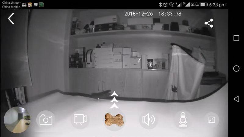 Petalk AI Dog Camera Treat Dispenser, WiFi Full HD Pet Camera with Two-Way Audio and Night Vision, Compatible with Alexa (2.4G WiFi ONLY) customer photo 1