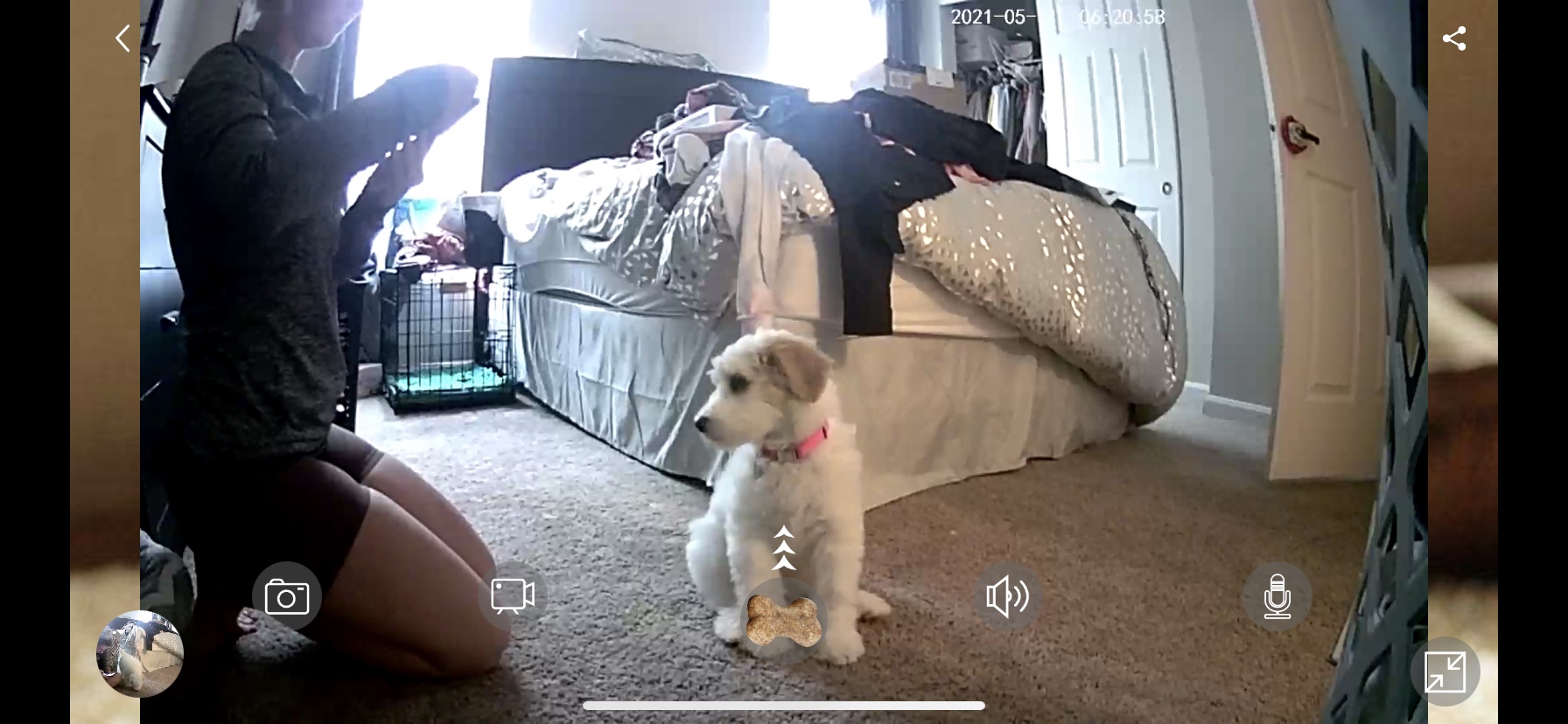 Petalk AI Dog Camera Treat Dispenser, WiFi Full HD Pet Camera with Two-Way Audio and Night Vision, Compatible with Alexa (2.4G WiFi ONLY) customer photo 2