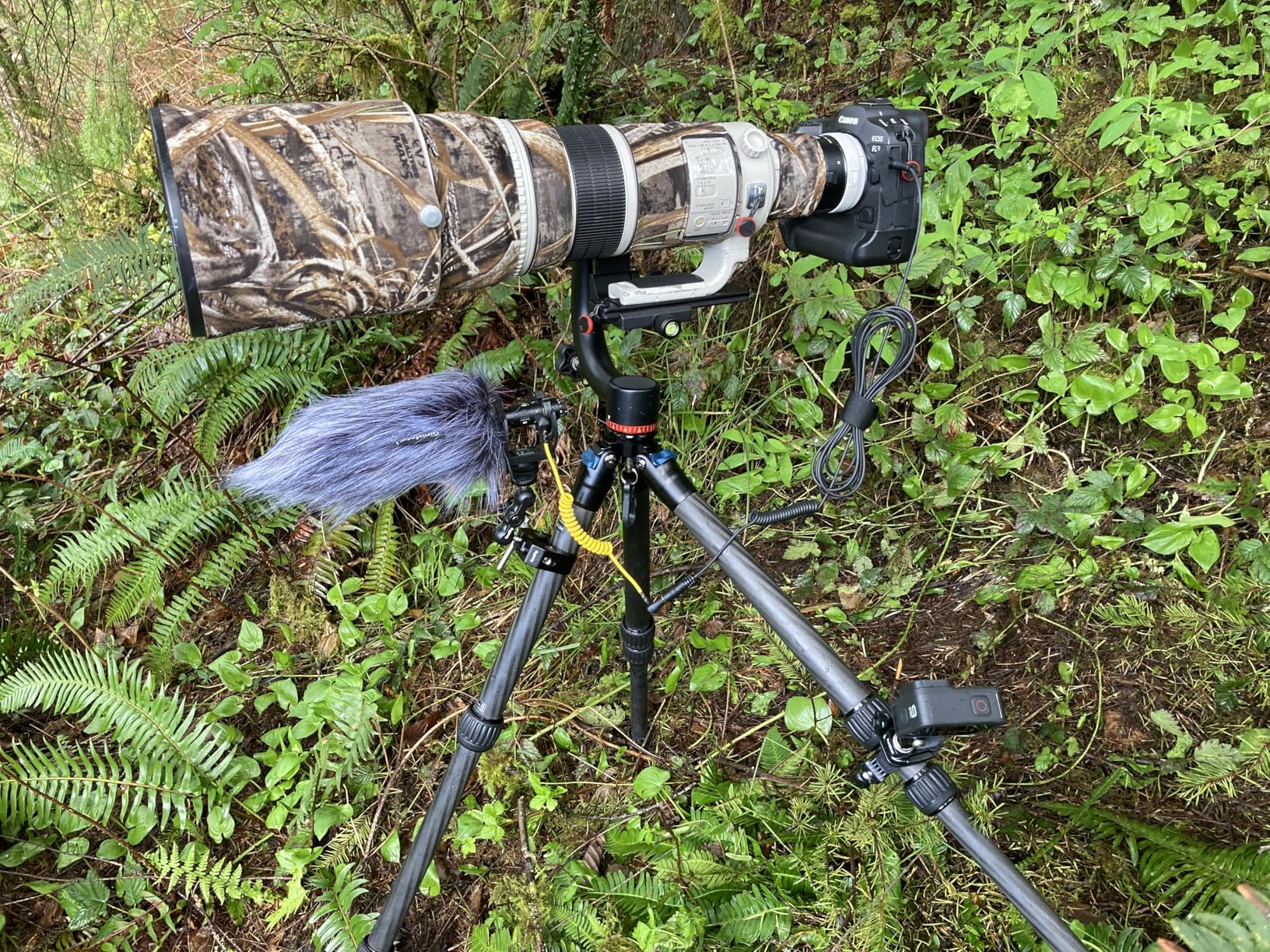 SIRUI AM-284 Carbon Fiber Tripod for Travel, Professional Camera Tripod with 4-Section Legs, Twist Leg Locks, Detachable Metal Spikes, Loads up 33LB, Max Height 47.2in customer photo 1