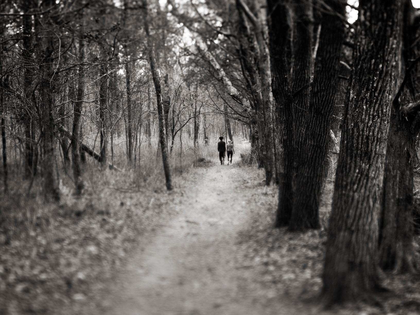 Lensbaby Edge 35 Lens - Slice of Focus Effect - Soft Blur & Bokeh customer photo 1