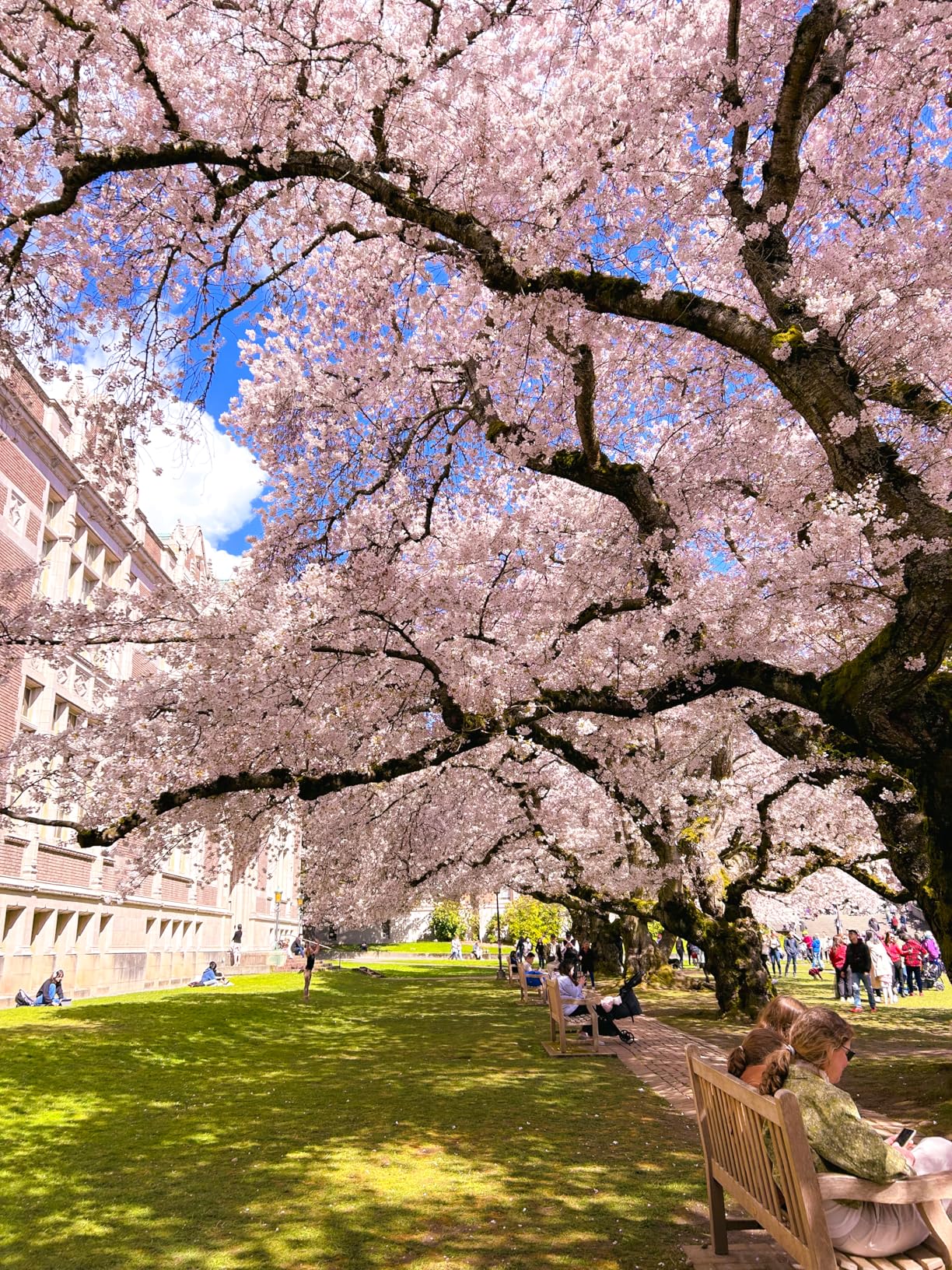 Sigma 16mm f/1.4 DC DN Contemporary Lens for Canon EF-M customer photo 1