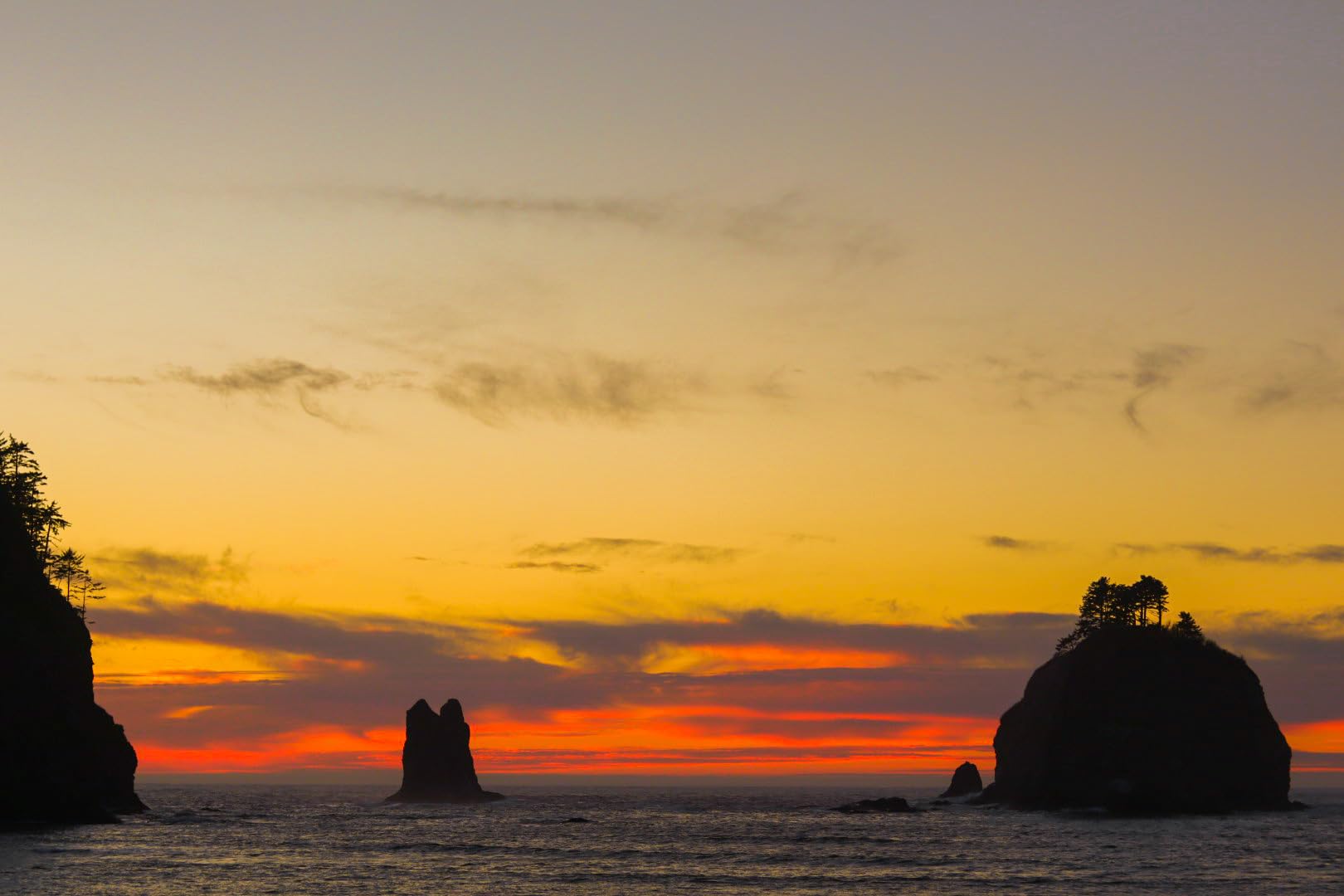 Sigma 16mm f/1.4 DC DN Contemporary Lens for Canon EF-M customer photo 2