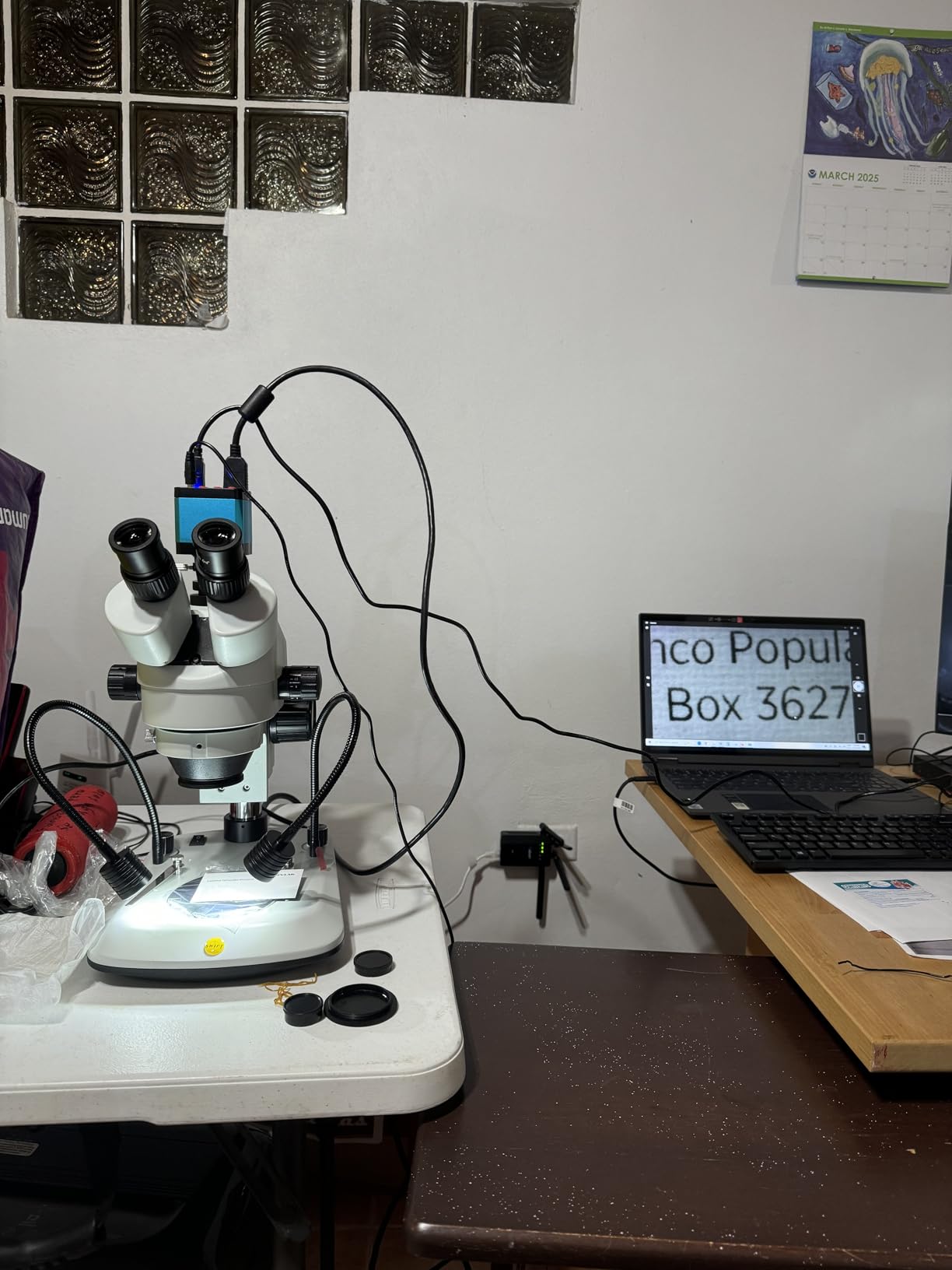 37MP 1080P 60FPS USB Microscope Camera Video HDMI Industry Microscope Camera with Conversion Adapter customer photo 2