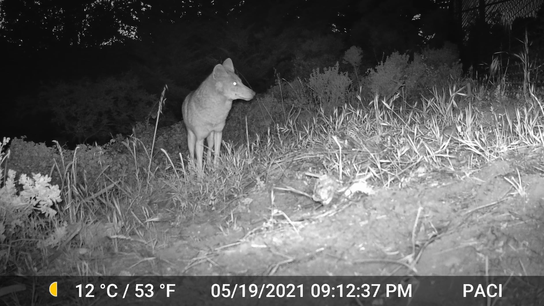GardePro E5 Trail Camera (Non-Cellular, Non-WiFi), 48MP Photo & 1296P HD Video, 0.1s Trigger, 100ft No-Glow Night Vision, Motion Activated Wildlife Camera customer photo 2
