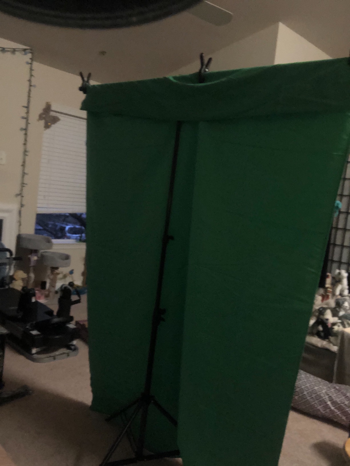 SLOW DOLPHIN Photo Video Studio 10 x12ft 100% Cotton Muslin Chromakey Green Screen Backdrop with 10 x 10ft Stand Photography Background Support System Kit Clamp, Carry Bag customer photo 2
