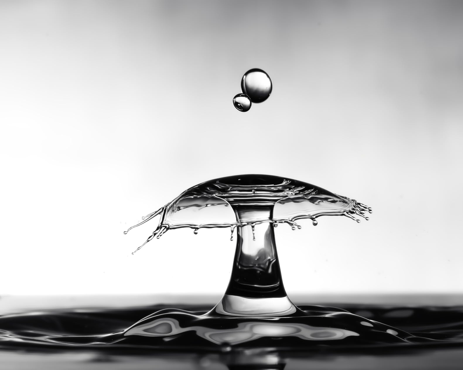Splash - Water Drop Kit - Smartphone Controllable and Standalone Water Drop Kit - Perfect Water Drop Photography Experience customer photo 1