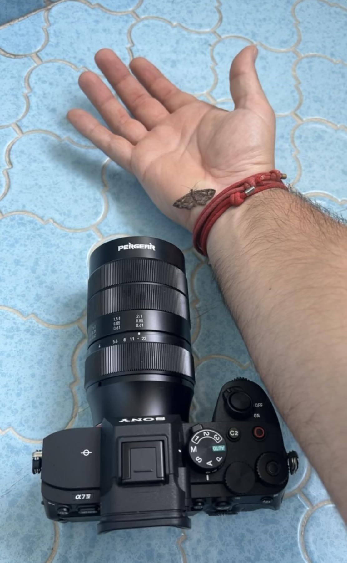 PERGEAR 60mm F2.8 II Ultra-Macro Lens with 2X Magnification, Compatible with Sony E-Mount Cameras customer photo 1