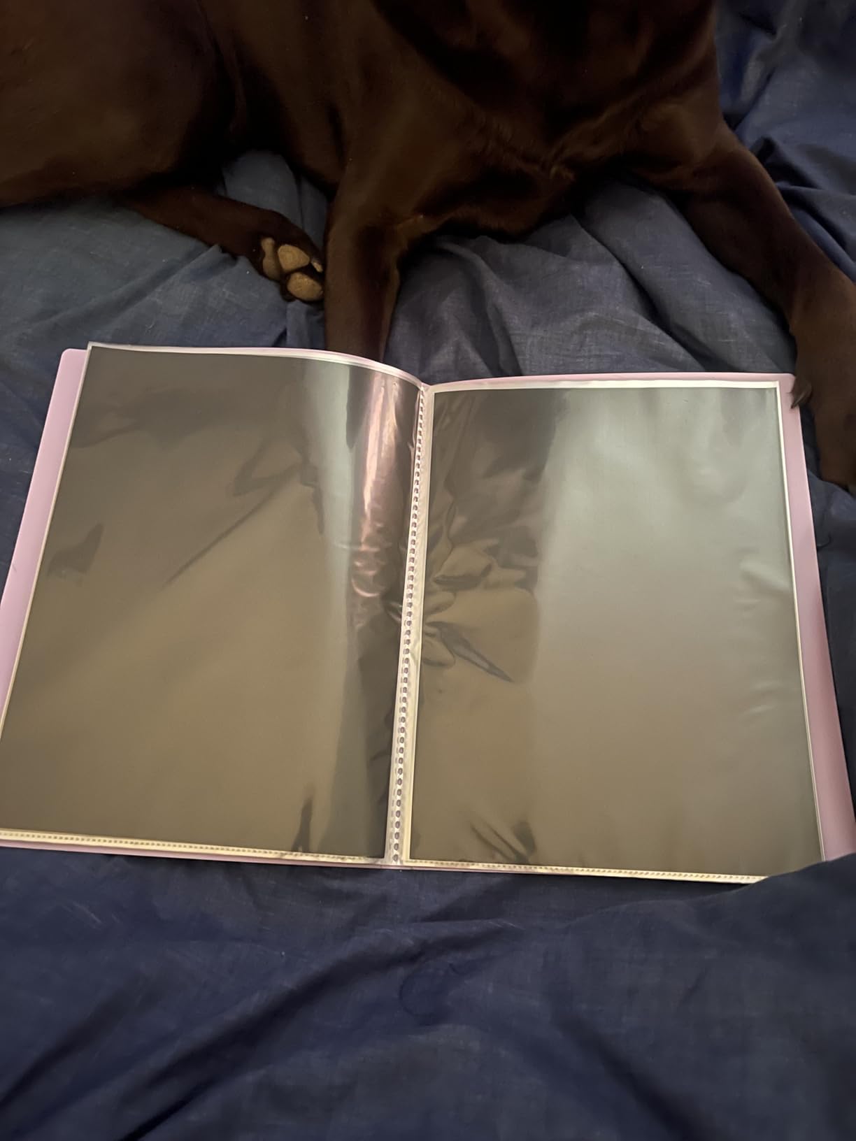 Sooez Art Portfolios 11x17, Large Portfolio Folder with 30 Pockets & Black Inner Sheets, Display 60 Pages, 11 x 17 Presentation Book customer photo 2