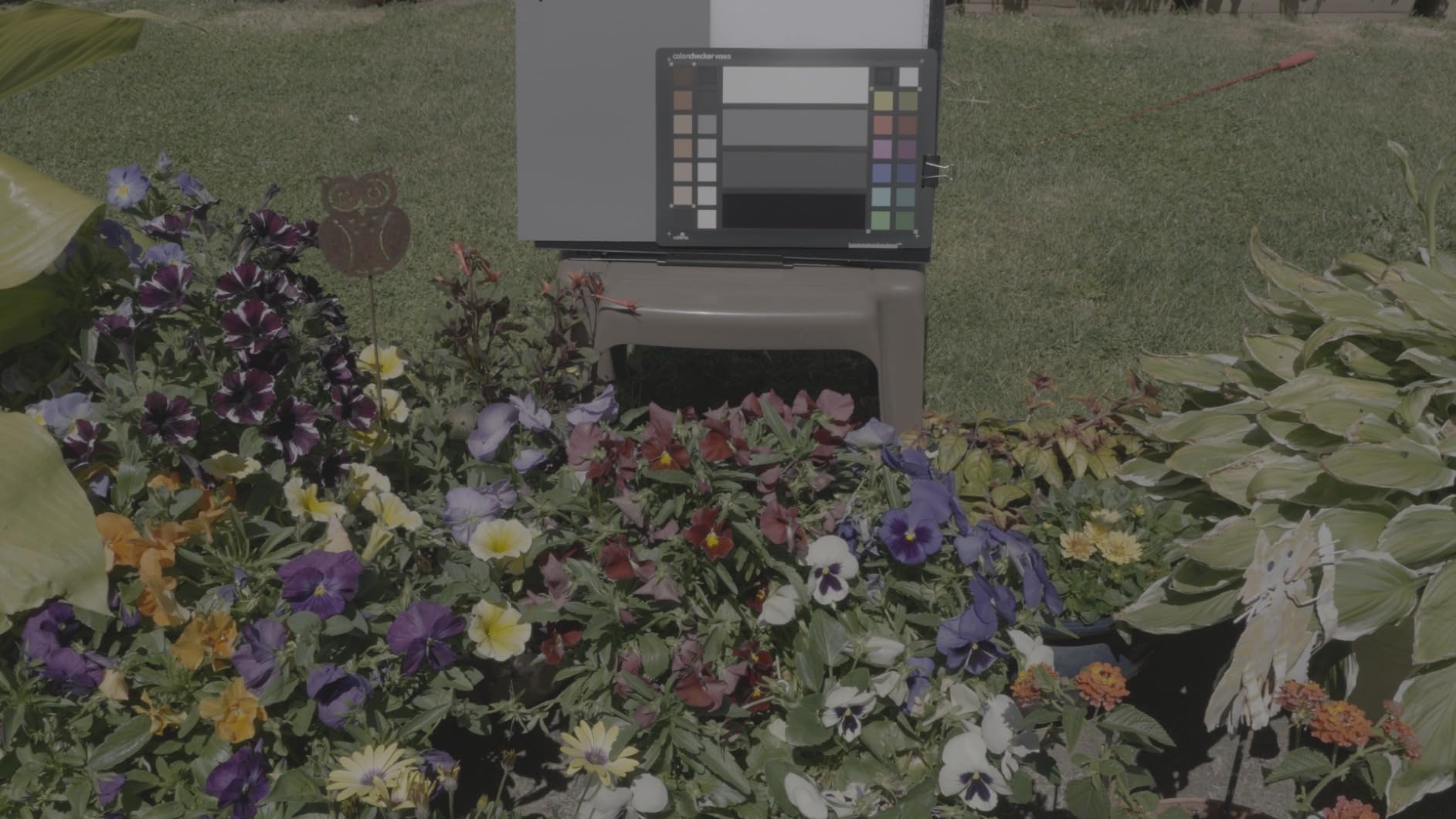 Calibrite ColorChecker Video Color Target w/White Balance Reference for Video Production, Vectorscope and Waveform Optimized Layout with Skin Tones and Grays, 8 x 11.5 inch Chart customer photo 1