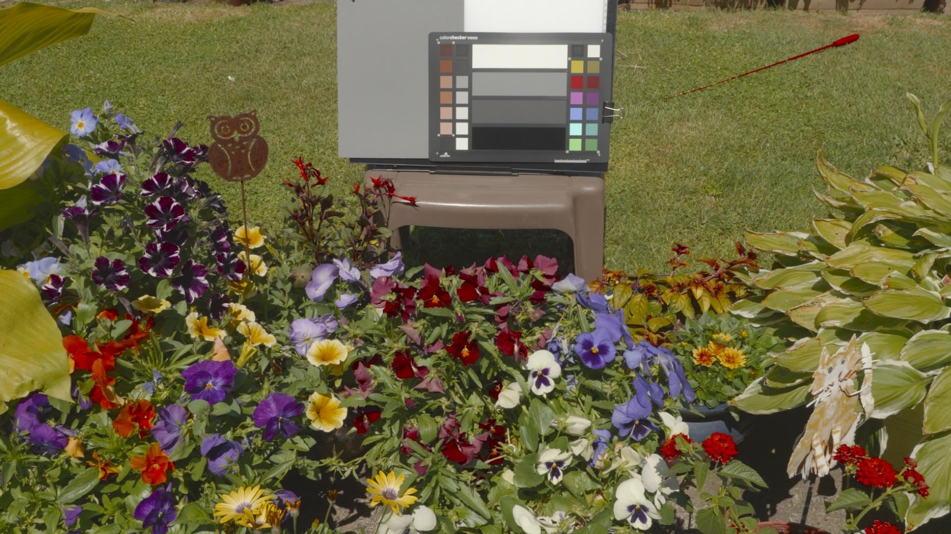 Calibrite ColorChecker Video Color Target w/White Balance Reference for Video Production, Vectorscope and Waveform Optimized Layout with Skin Tones and Grays, 8 x 11.5 inch Chart customer photo 2