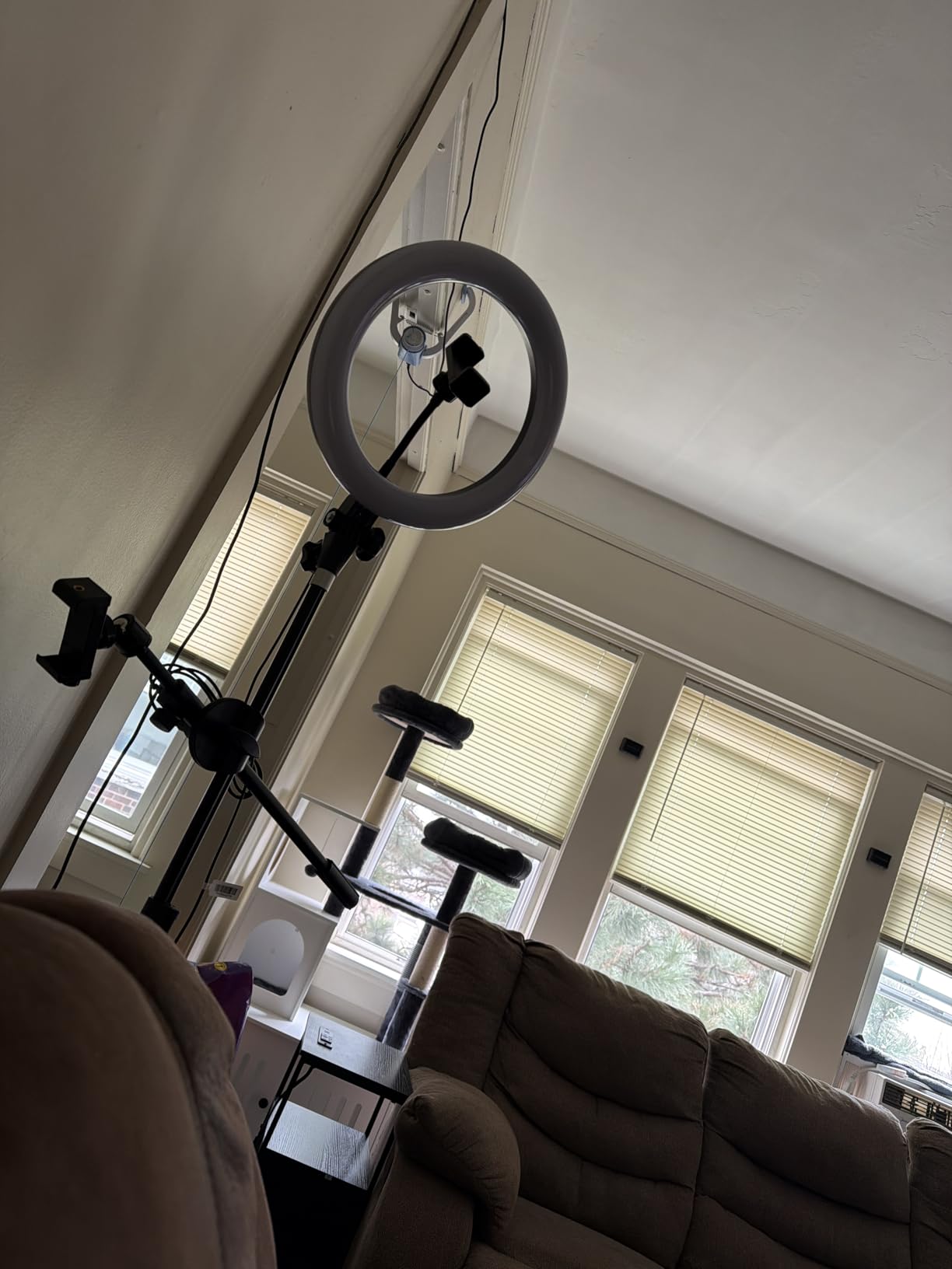 LUXSURE Ring Light with Stand for Phones, Tripod with Ring Light for iPhone, Overhead Phone Mount 10.5