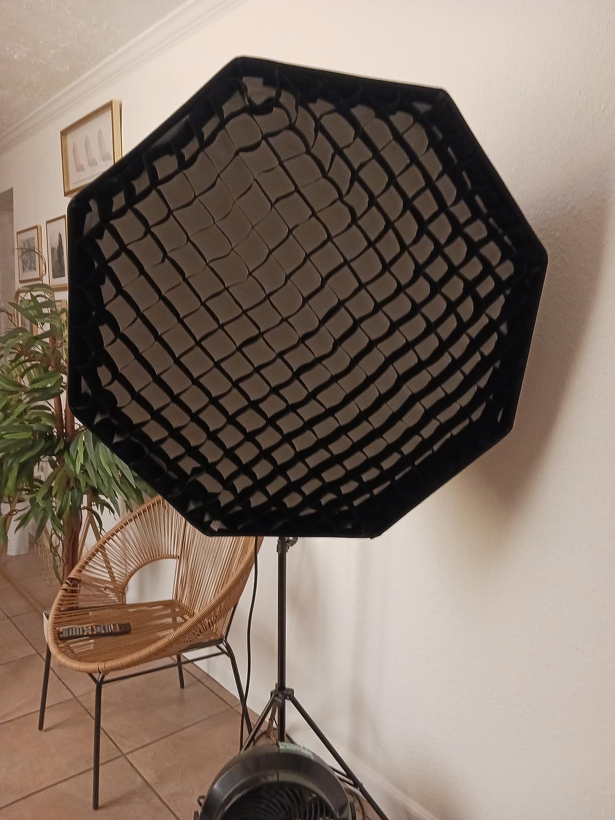 AMBITFUL Softbox Strip FW22x90/9''x 35'' Honeycomb Grid Bowens softbox, with Honeycomb Grid + Carrying Bag, for Bowens Mount lamp (FW22x90/9''x 35'') customer photo 2