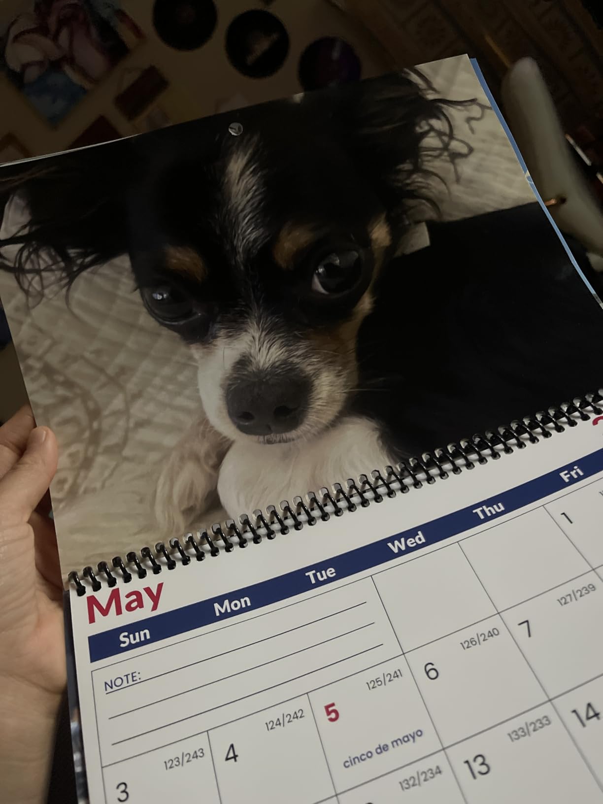 Custom Photo Wall Calendar 2026 for Home & Office - Print Your 13 Memories & Make Your Own Personalized Calendar 2026 - Customized Christmas Gift (Large 11'' x 17'' Made in USA) - 25 Pack customer photo 1