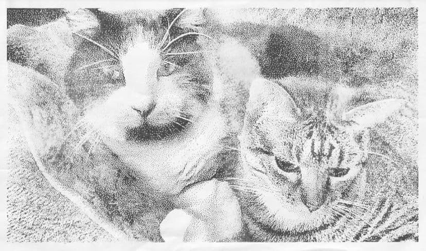 Instant Print Camera for Kids, Christmas Birthday Gifts Girls Boys Age 3-12, HD Digital Video Cameras Toddler, Portable Toy 3 4 5 6 7 8 9 10 Year Old Girl with 32GB SD Card-Pink customer photo 1