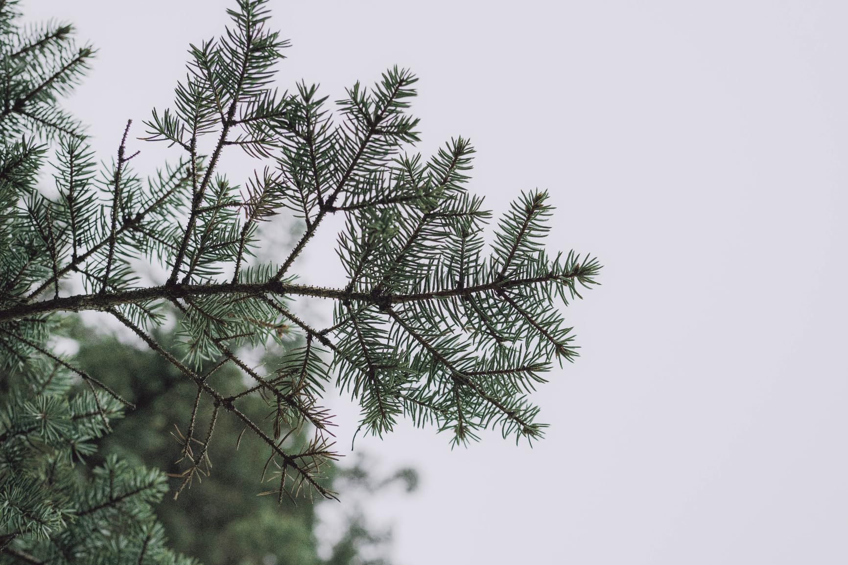 23mm F1.4 DC DN for Sony E Mount customer photo 2