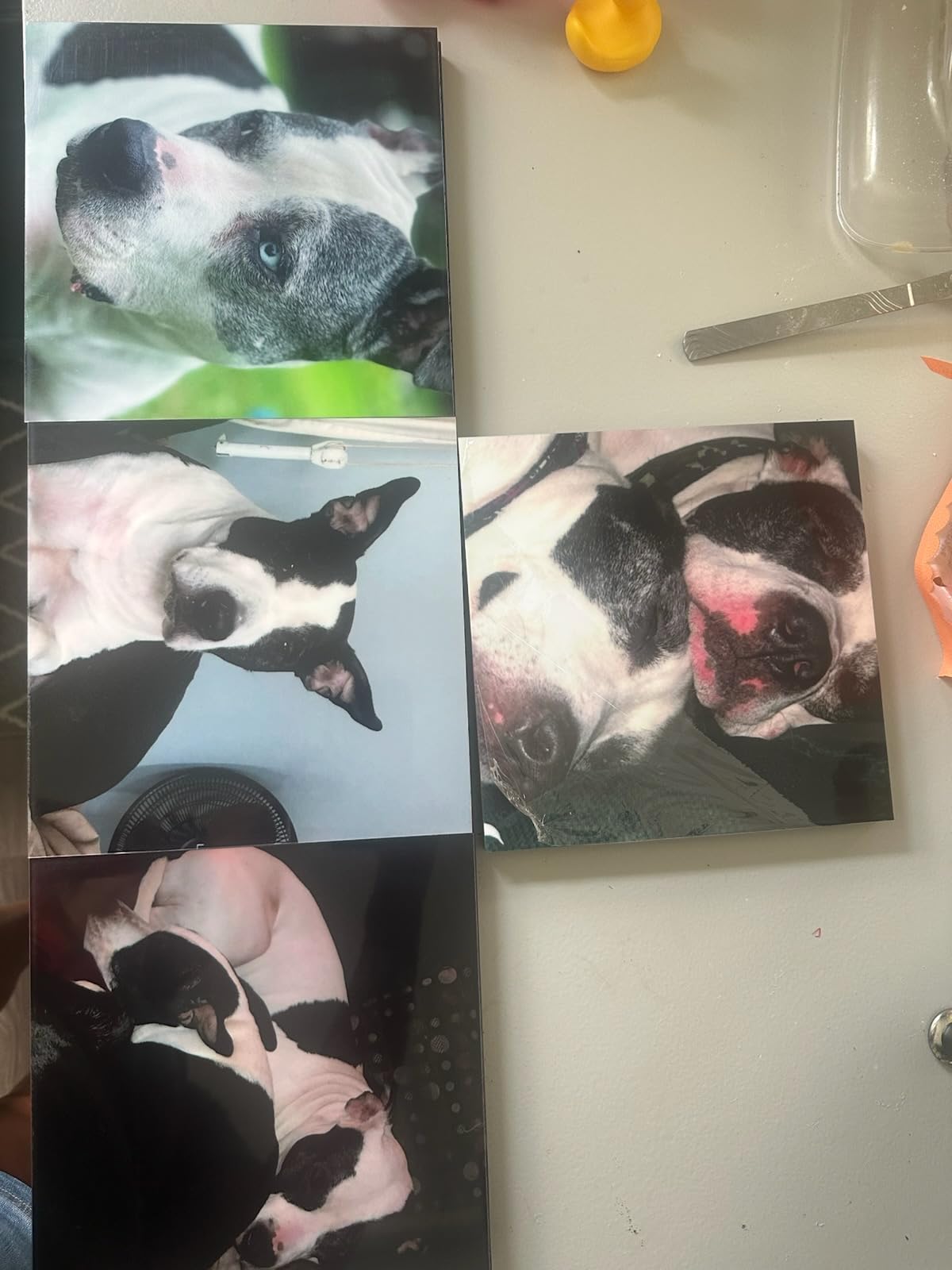 Print Your Canvas Photos to Customize Personalized Photo Wall Collages Photo Tiles 8x8 Inch, Peel and Stick Picture Frames Storyboards for Home Decor, Gallery, Offices, and Gifts (12pc) customer photo 2