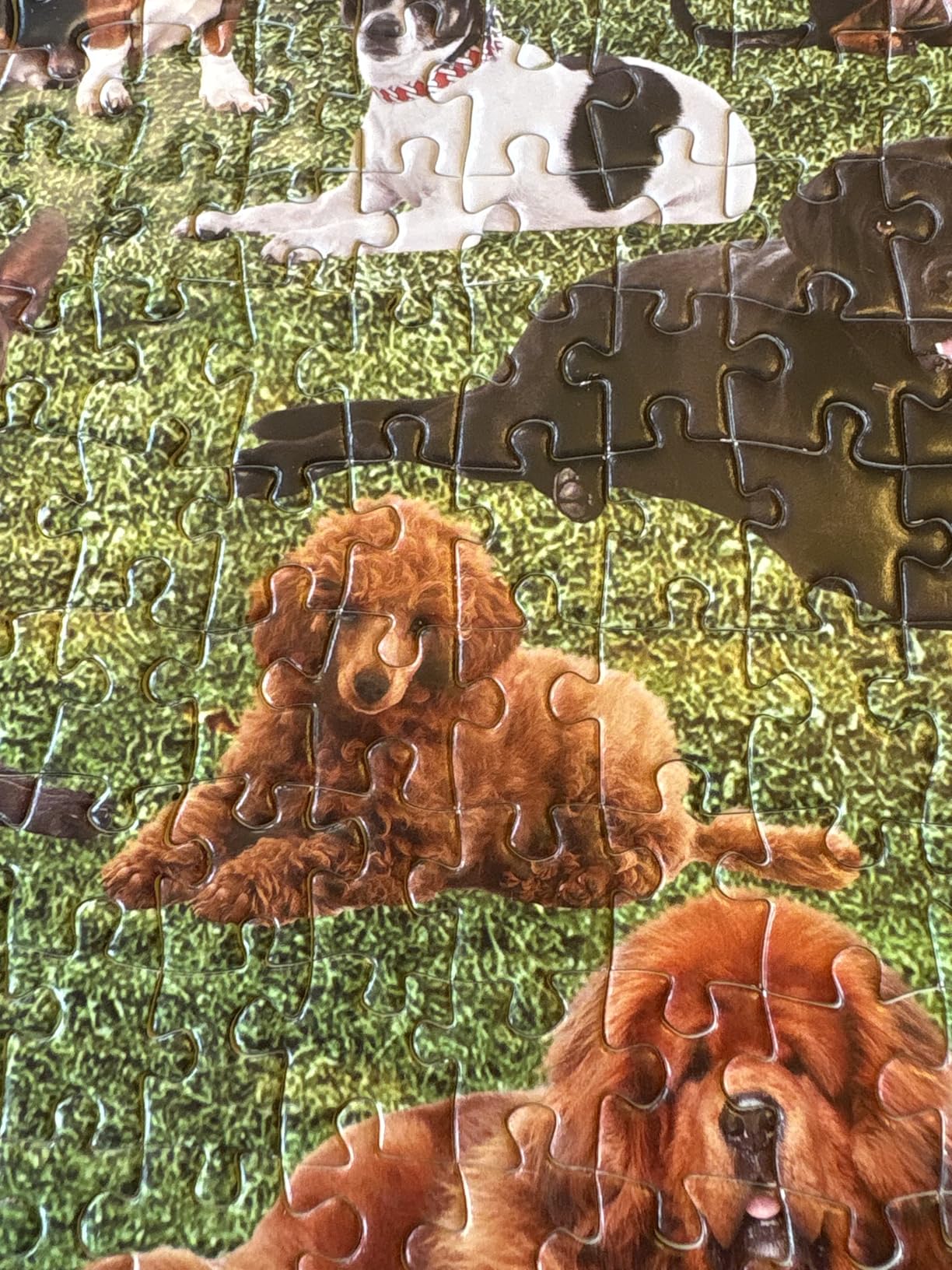Custom Puzzle 35/70/100/120/300/500/1000/1500/2000 Pieces Personalized Puzzles from Photos, Custom Picture Puzzles Customized Jigsaw Puzzle for Adults Teens Family Couple Wedding Birthday Gift customer photo 2