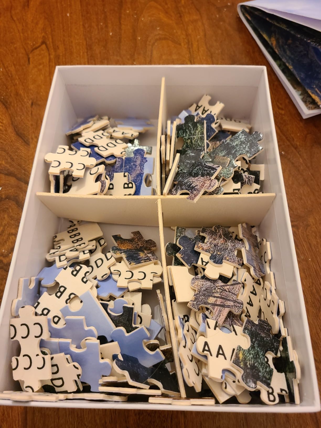 DPDP Custom Puzzles Personalized Jigsaw Puzzle 35/70/120/200/300/500/520/1000 Pieces from Photo, Make Your Own Puzzle, Custom Jigsaw Puzzle for Adults, Family, Wedding, Graduation, Gift customer photo 1