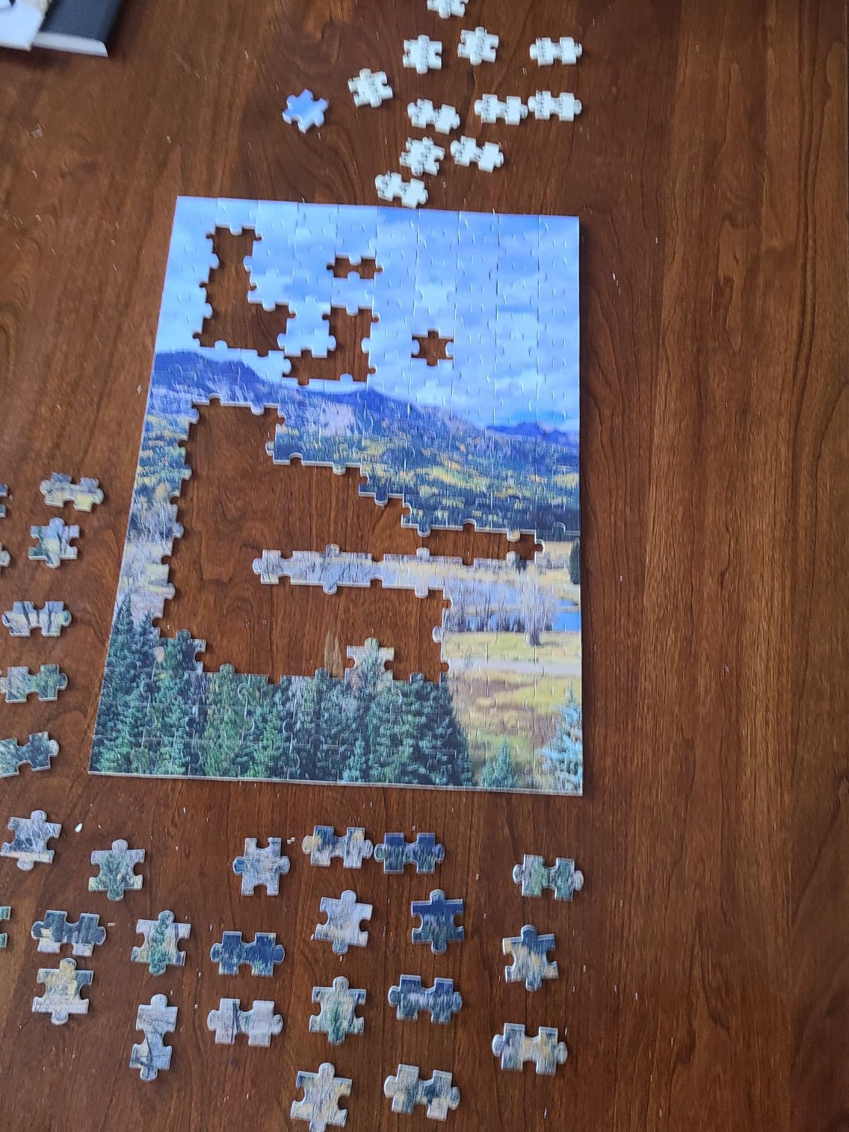 DPDP Custom Puzzles Personalized Jigsaw Puzzle 35/70/120/200/300/500/520/1000 Pieces from Photo, Make Your Own Puzzle, Custom Jigsaw Puzzle for Adults, Family, Wedding, Graduation, Gift customer photo 2