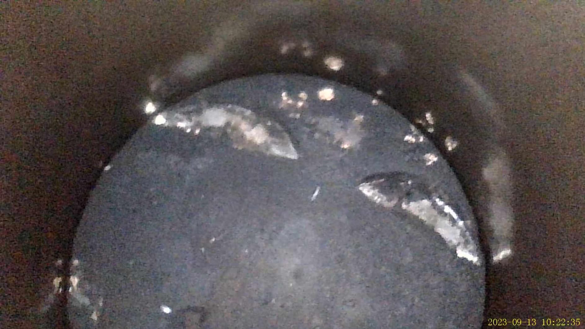 VEVOR Articulating Borescope Camera with Light, Two-Way Articulated Endoscope Inspection Camera with 6.4mm Tiny Lens, 5