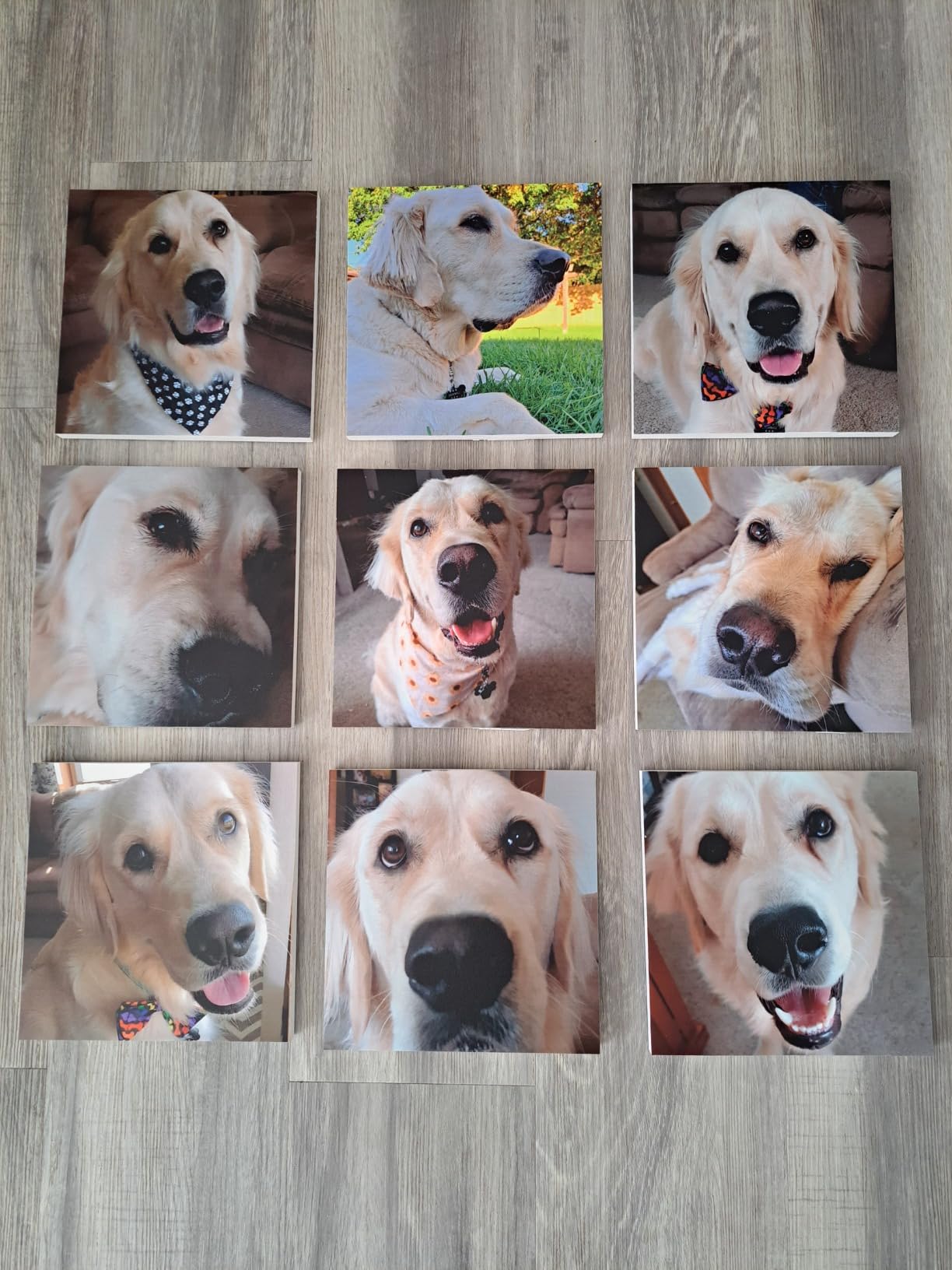 4-Pack Custom 8x8