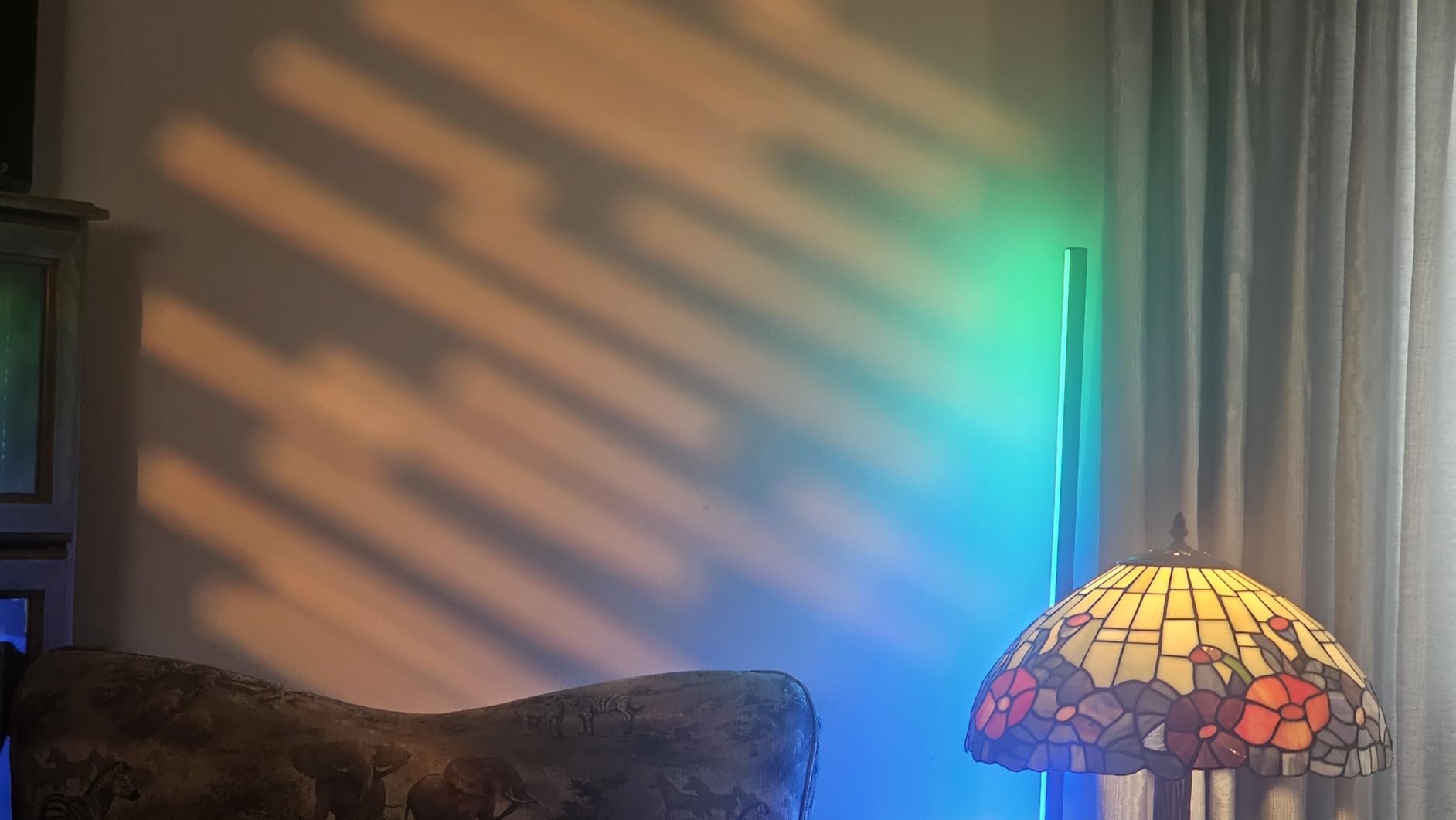 NEEWER Spotlight Snoot with 20° Projection Lens, Adjustable Focus, 16 Metal Gobos 5 Color Gels, Bag, Conical Snoot for Bowens Mount LED Continuous Output Lighting Studio Video Light Up to 300W, LS-39 customer photo 2