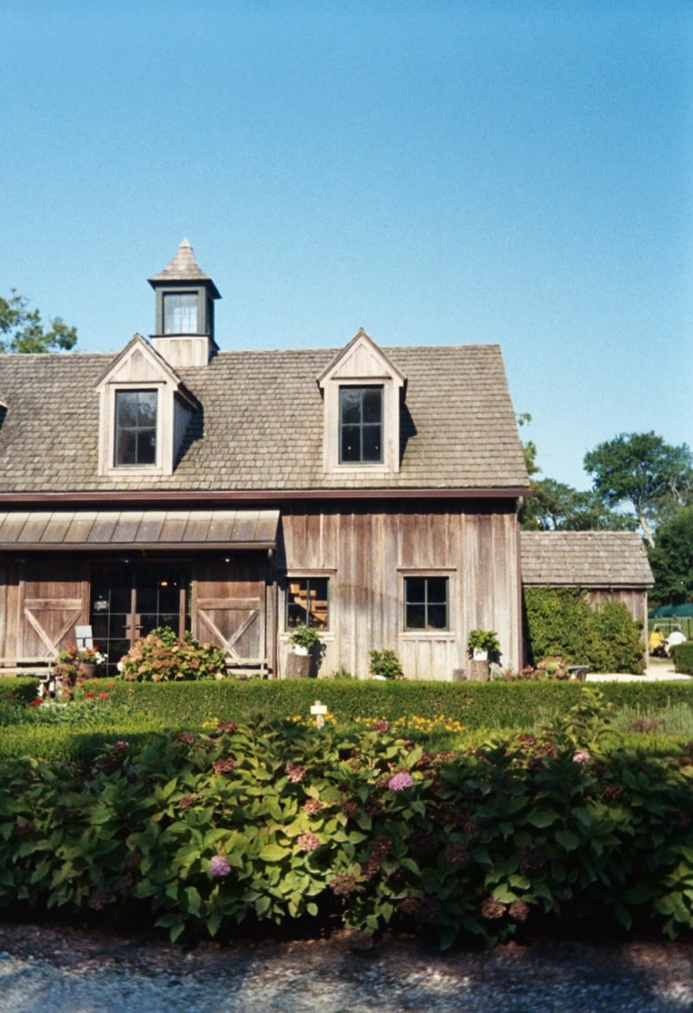 Kodak EKTAR H35N Half Frame Film Camera Bundle with Kodak Ultramax 400/24EXP 35mm Roll Film (Striped Silver, Bundle) customer photo 1