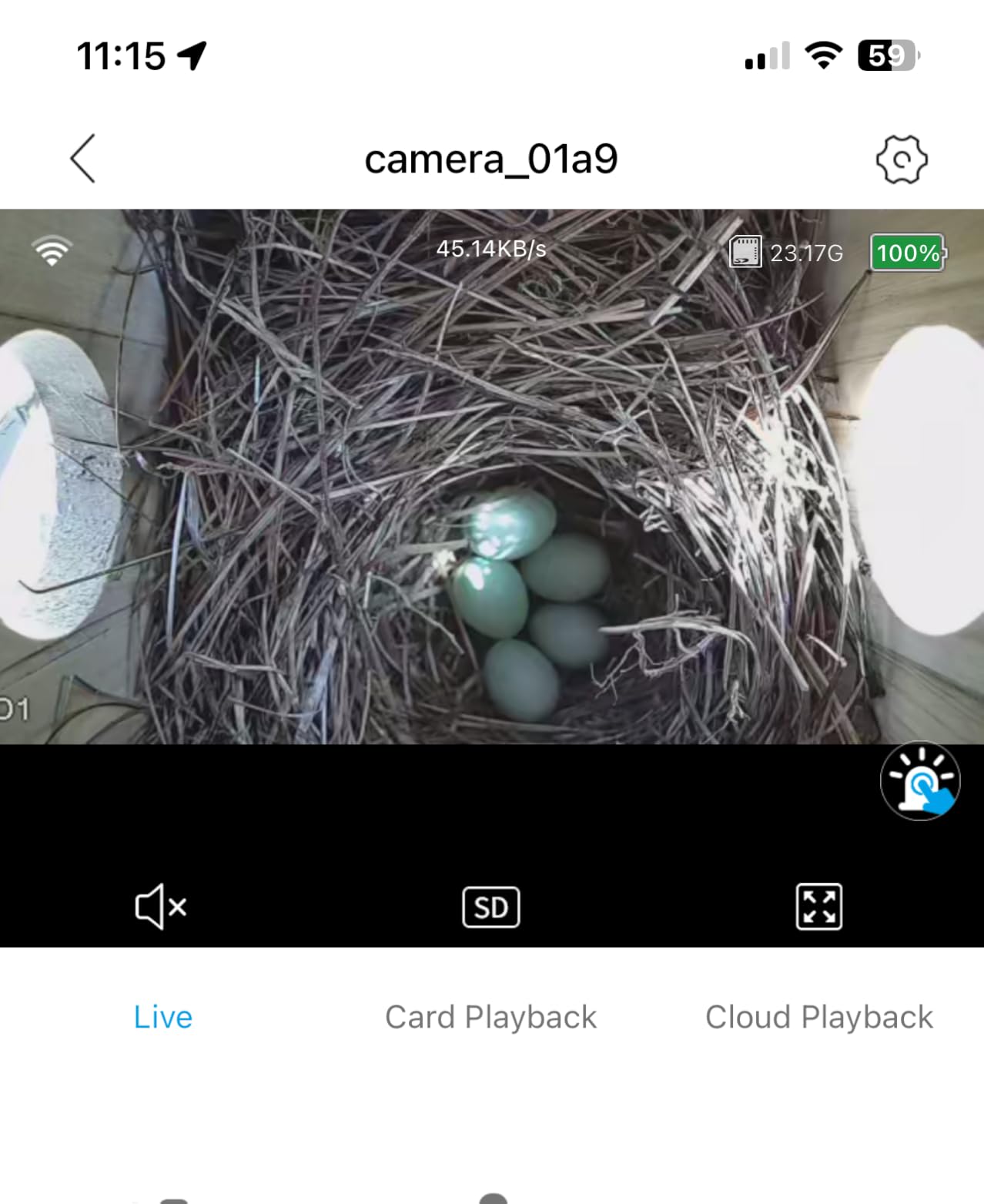 Bird House with Camera, 5MP Smart Birdhouse Camera with Solar Powered, Bird Box Camera for Families, Motion Detection & 32GB SD Card, Watch Bird Nesting & Hatching in Real Time customer photo 1