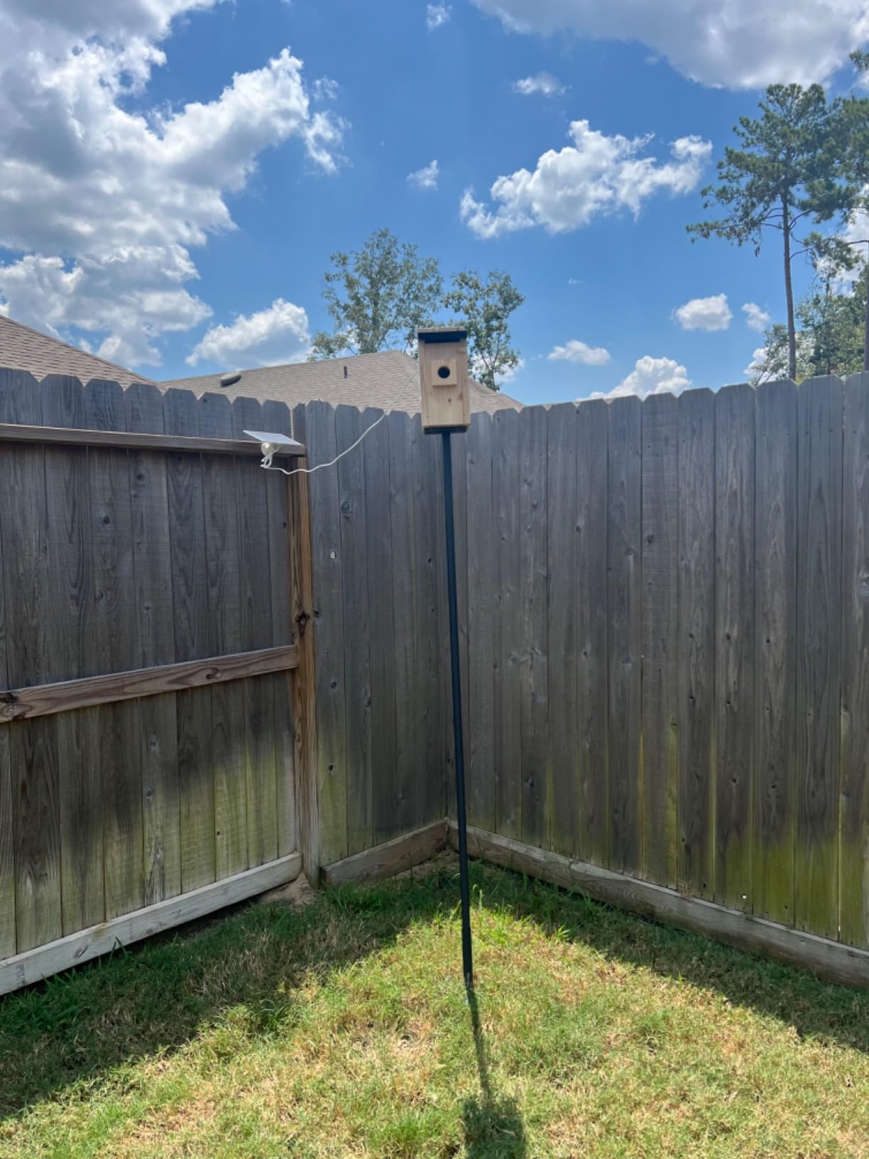 Bird House with Camera, 5MP Smart Birdhouse Camera with Solar Powered, Bird Box Camera for Families, Motion Detection & 32GB SD Card, Watch Bird Nesting & Hatching in Real Time customer photo 2