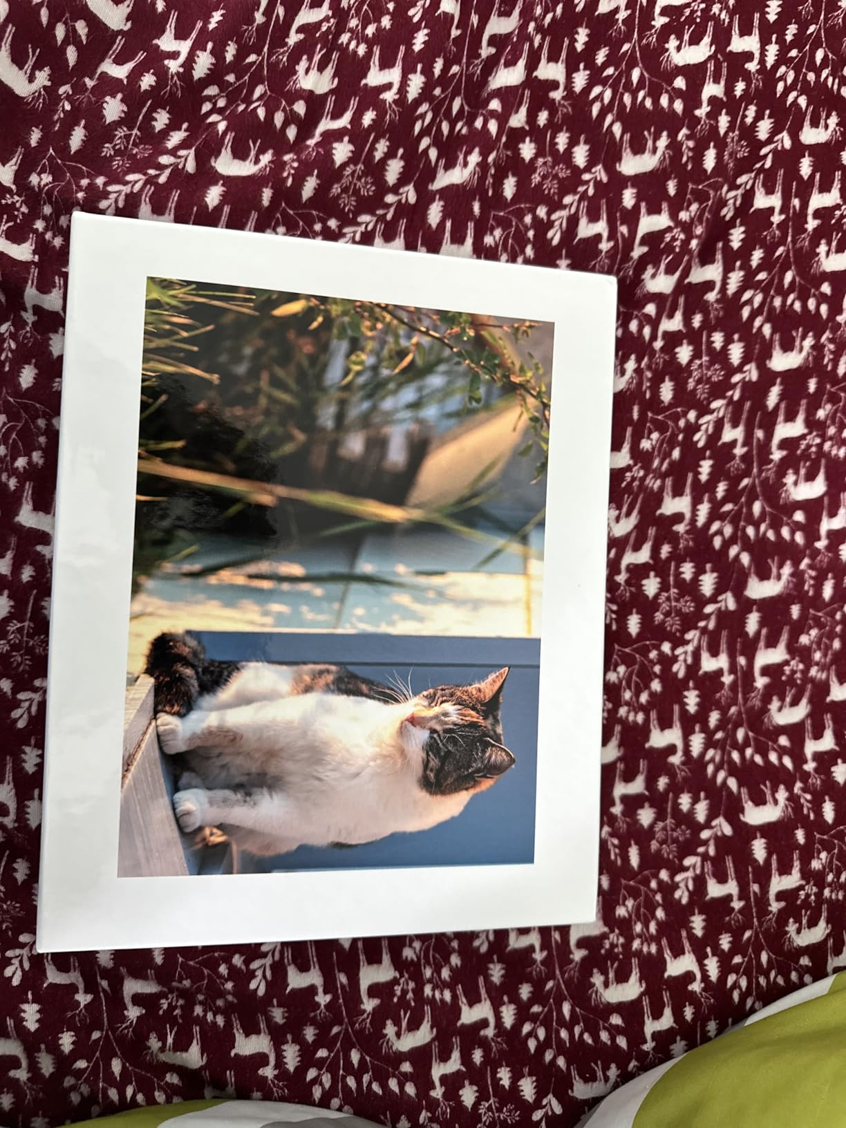 MyPuzzle Custom Photo Puzzle - Personalized Jigsaw Puzzle Made from Your Own Picture, Ideal Gift for Birthdays, Mother's Day, Valentine's Day & Weddings - 500 Pieces (Landscape/Horizontal) customer photo 2