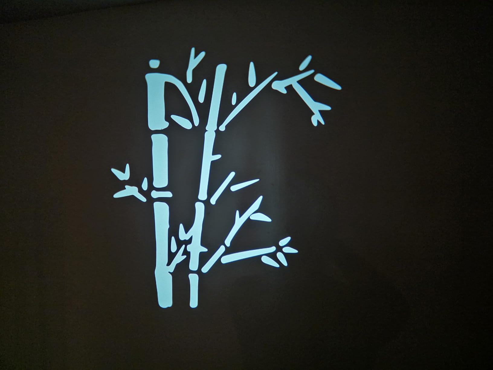 Optical Bowens Mount Projector Attachment Spotlight Conical Optical Snoot Photography Kit with Color Filters Various Gobos for Aputure Amaran 100DS/XS 200XS/DS 300C/DII/X 60D/XS Godox SL60 customer photo 2