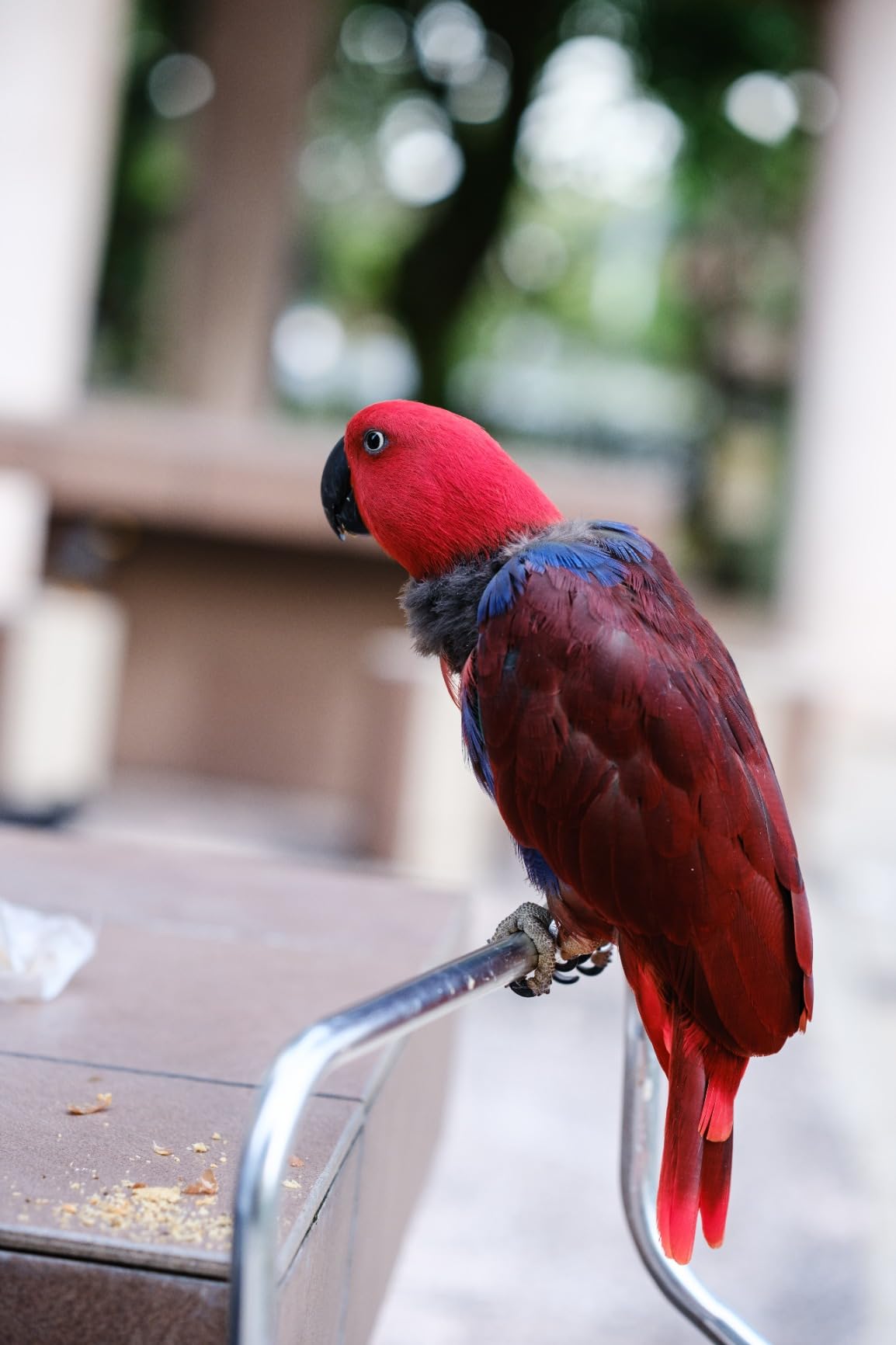 Meike 55mm F1.4 APS-C Frame AF STM Lens Fixed Prime Portrait Lens for Fujifilm X Mount Mirrorless Cameras XT4 XT5 XT10 XT20 XT30 XT50 X-A2 X30 X70 X-S10,etc customer photo 2