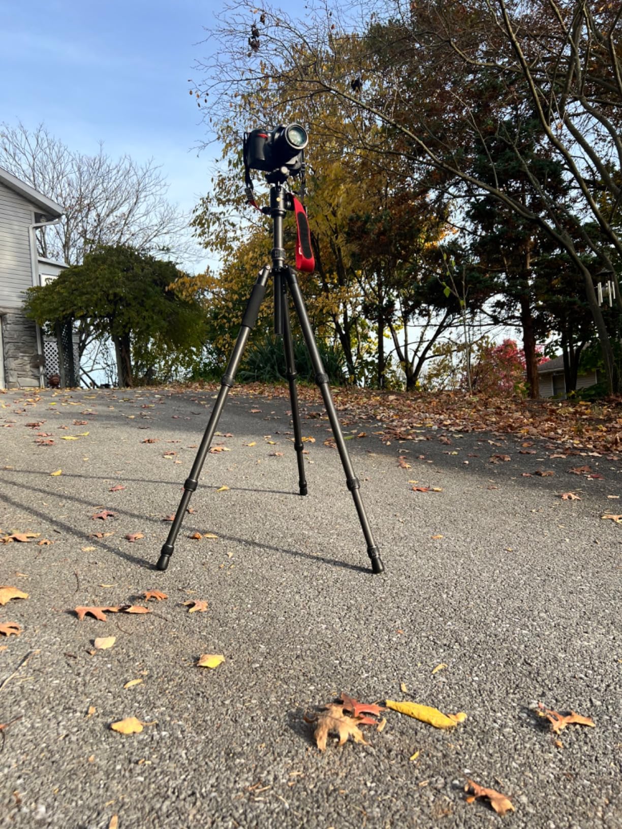 Vanguard Vesta GO 204CB Ultra Lightweight and Packable Carbon Fiber Travel Tripod with VEO BH-45 Ball Head customer photo 2