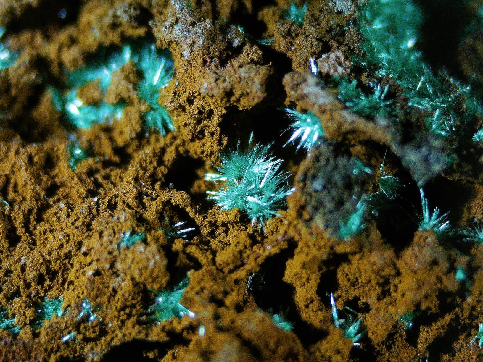 Andonstar AD266S 20X-5000X HDMI Digital Microscope, 5 Lens 2160P UHD Video Record, 7'' LCD Microscope for Adults Kids, Home Lab Biological Kit with Slides, Coin Full View customer photo 1