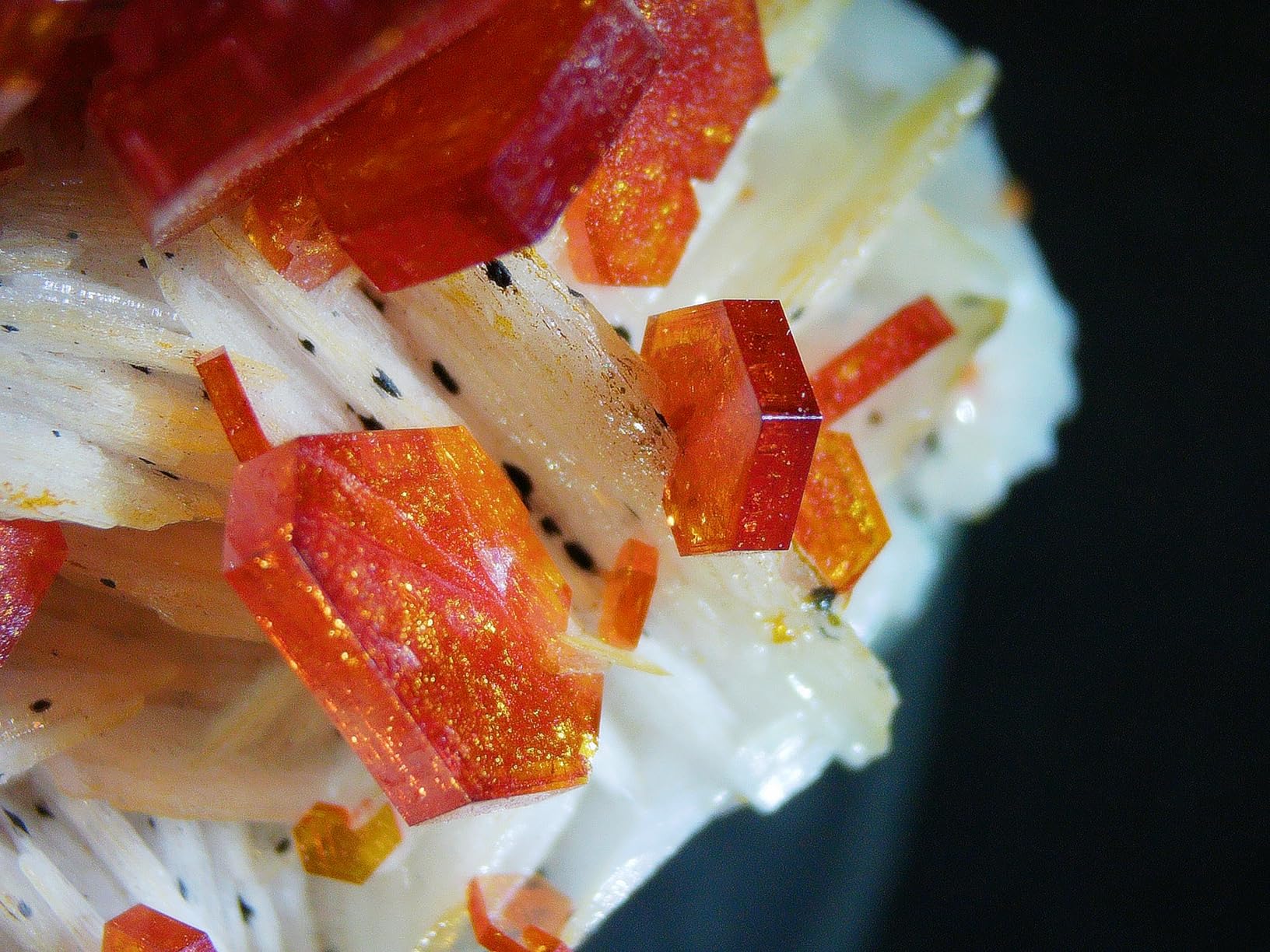 Andonstar AD266S 20X-5000X HDMI Digital Microscope, 5 Lens 2160P UHD Video Record, 7'' LCD Microscope for Adults Kids, Home Lab Biological Kit with Slides, Coin Full View customer photo 2