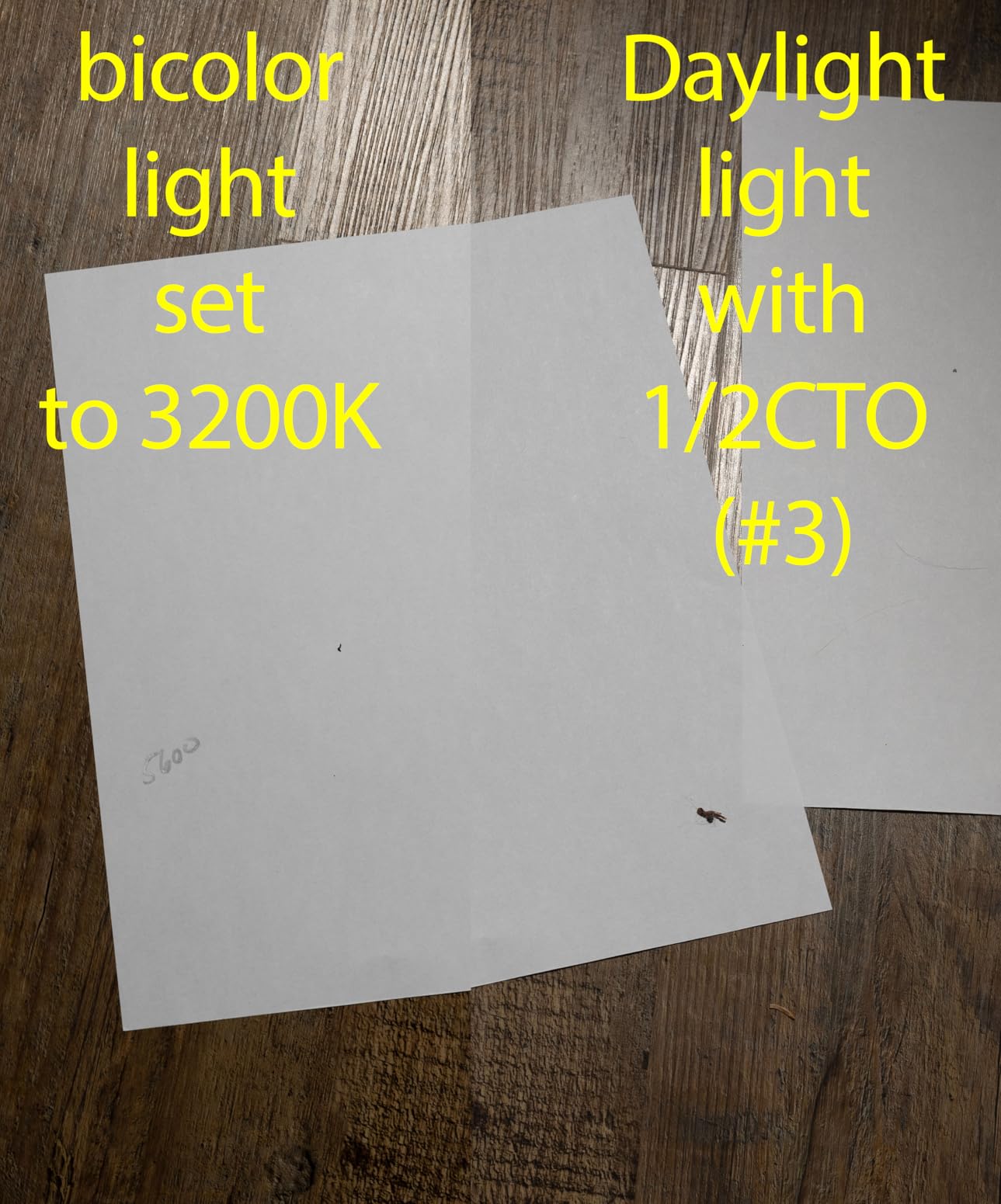 5 Pcs Lighting Gels Filter Transparent Orange Kit,Glod,Full,1/2,1/4,1/8 Cto Color Gels for Photography,Colored Flim for Lights Led Photo Flashlight Strobe 16x20 Inches customer photo 2