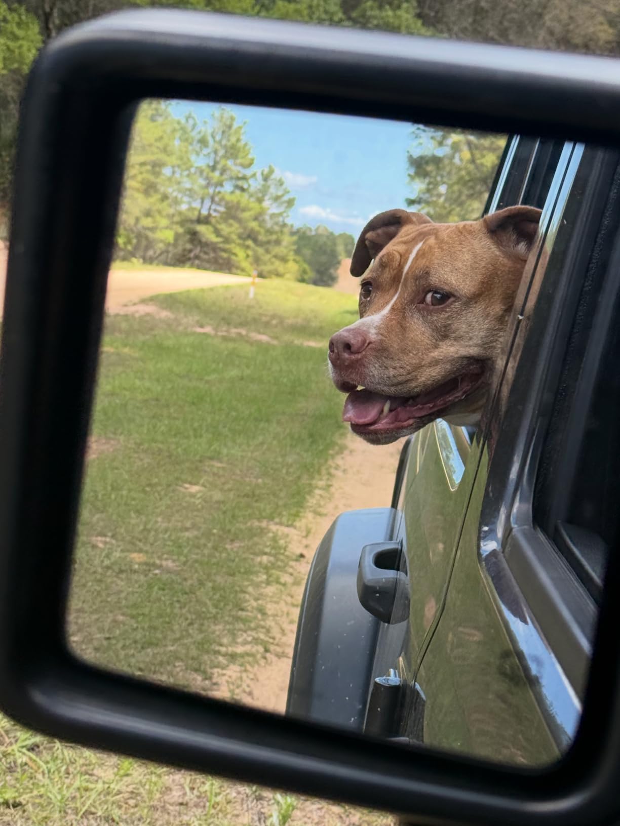 AKASO EK7000 4K30fps Action Camera - 131ft Waterproof Camera with Remote Control 4X Zoom Ultra HD 20MP Underwater Camera with Accessories Kit customer photo 2