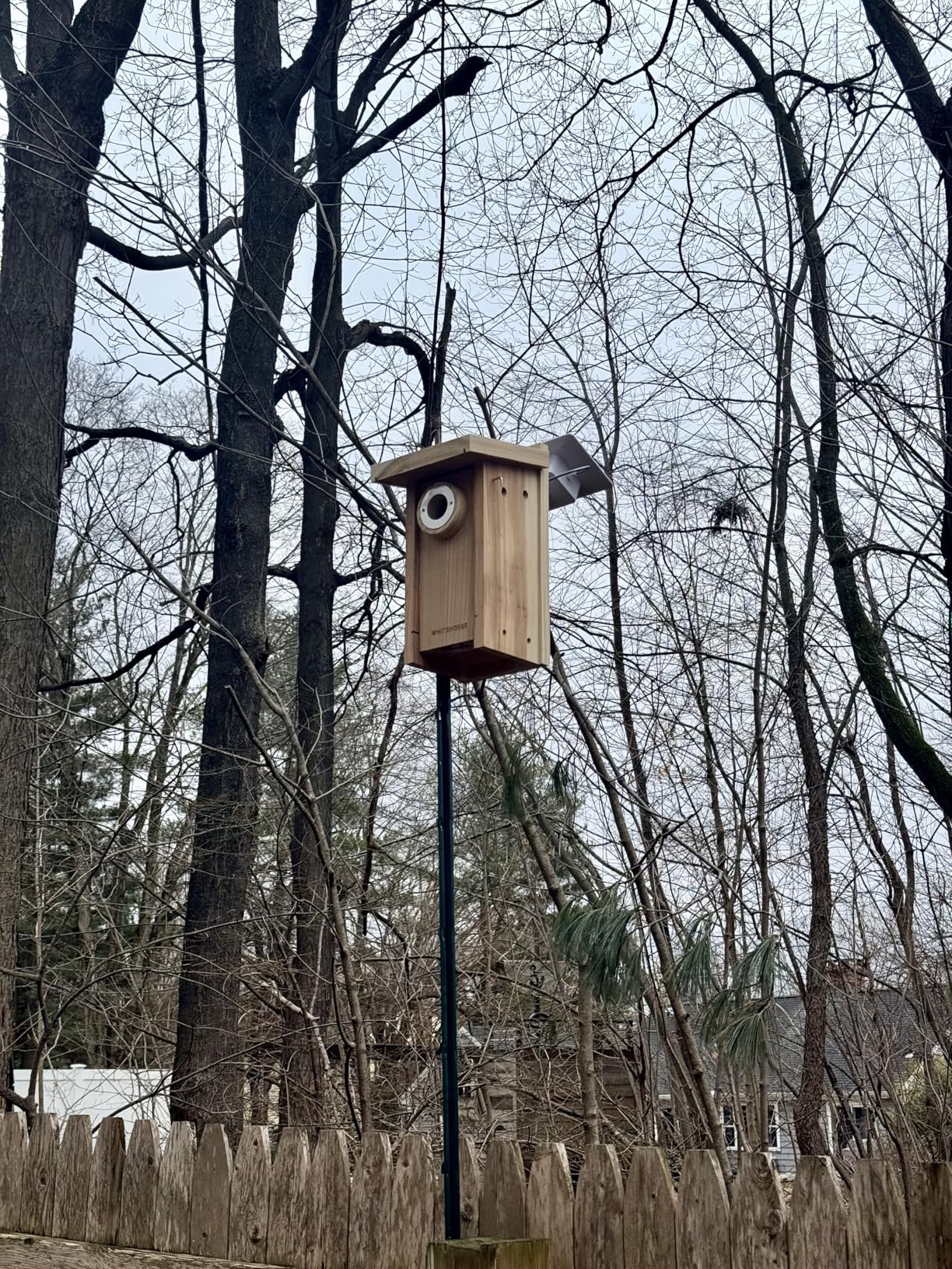 WHITEHORSE Bird House with Camera - Wireless & Solar Powered - Take Photos & Videos from Your Phone (Free App) - Get Notified When a Bird is Detected- Bluebird Nestbox Built to NABS Specs (15