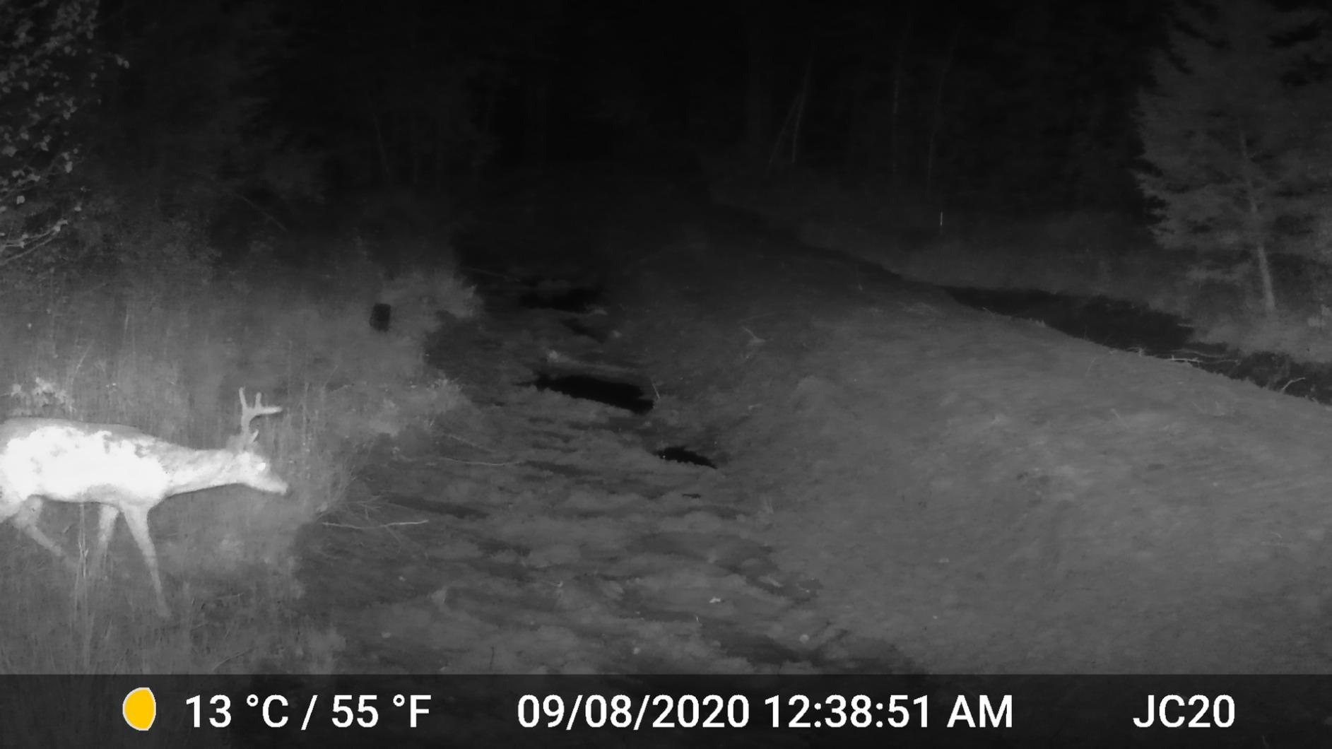 GardePro A3S 2-Pack Trail Camera (Non-Cellular, Non-WiFi), 64MP Photo & 1296P HD Video, 0.1s Trigger, 100ft No-Glow Night Vision, Motion Activated Wildlife Camera customer photo 2