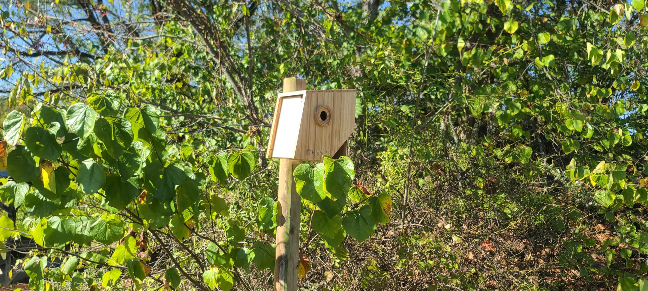 Birdfy Smart Bird House with Camera | Lifetime AI Identify | Auto-Record Nesting Stages & Alerts | Remote Control | Night Vision | Battery & Solar Outdoor-Ready, Ideal For Nesting Watching Enthusiasts customer photo 2