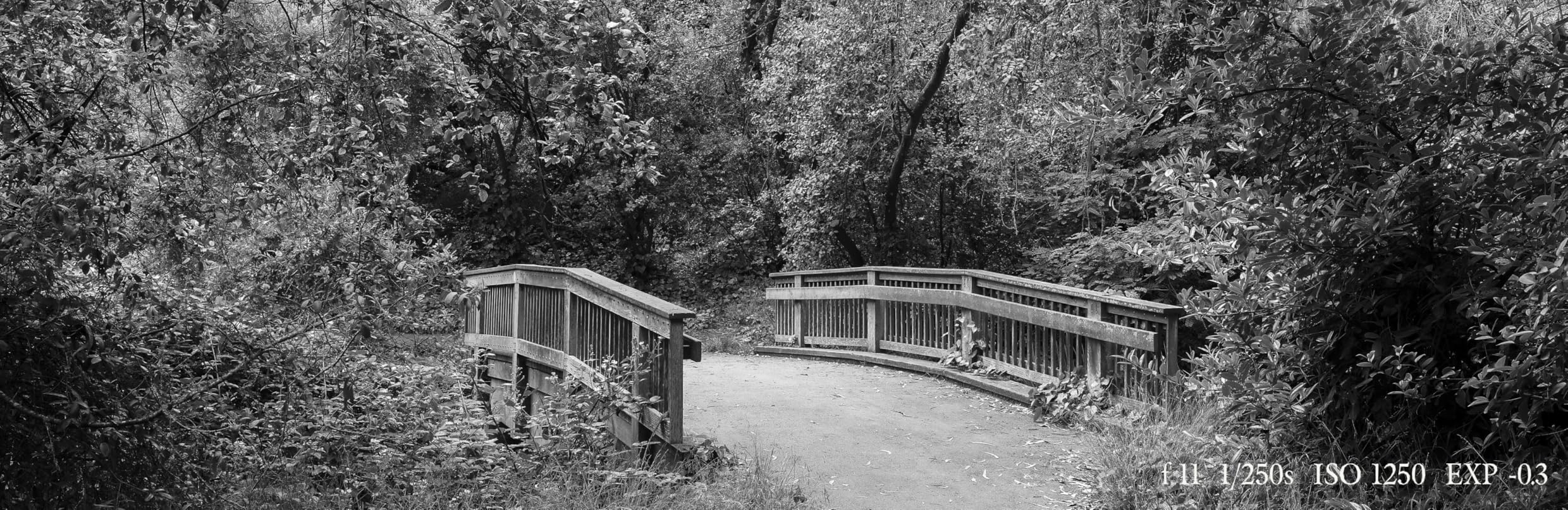 Fujifilm GFX100RF Medium Format Camera - 102MP Large Format Sensor, Compact Rangefinder Style, 4K/30p Video customer photo 2