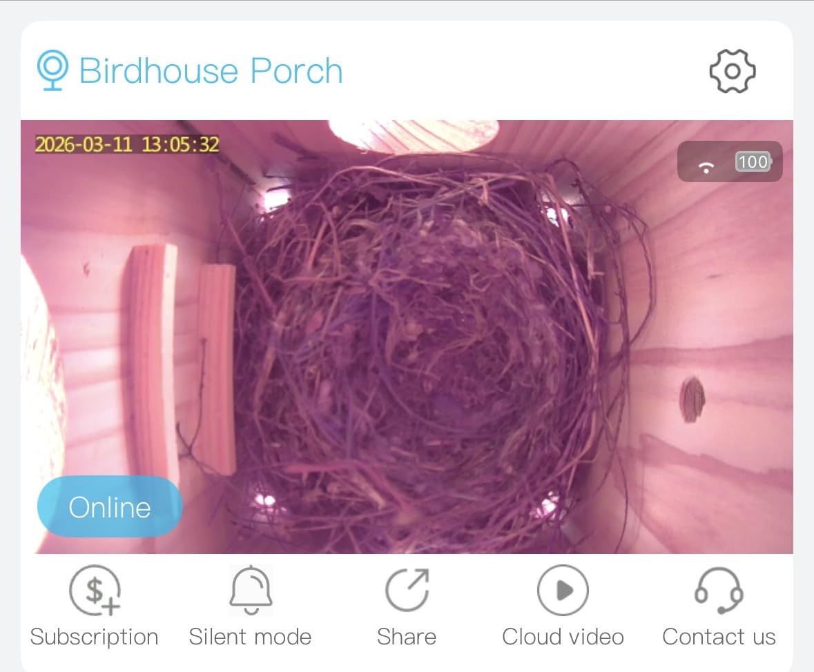 Bird House with Camera Solar Powered,2K HD Wi-Fi Bird Watching, Auto Detect&Notify, Night Vision, APP Control, Birdhouse for Small Birds Nesting, Wooden Birdhouse with Cam Inside (Solar-Powered) customer photo 2