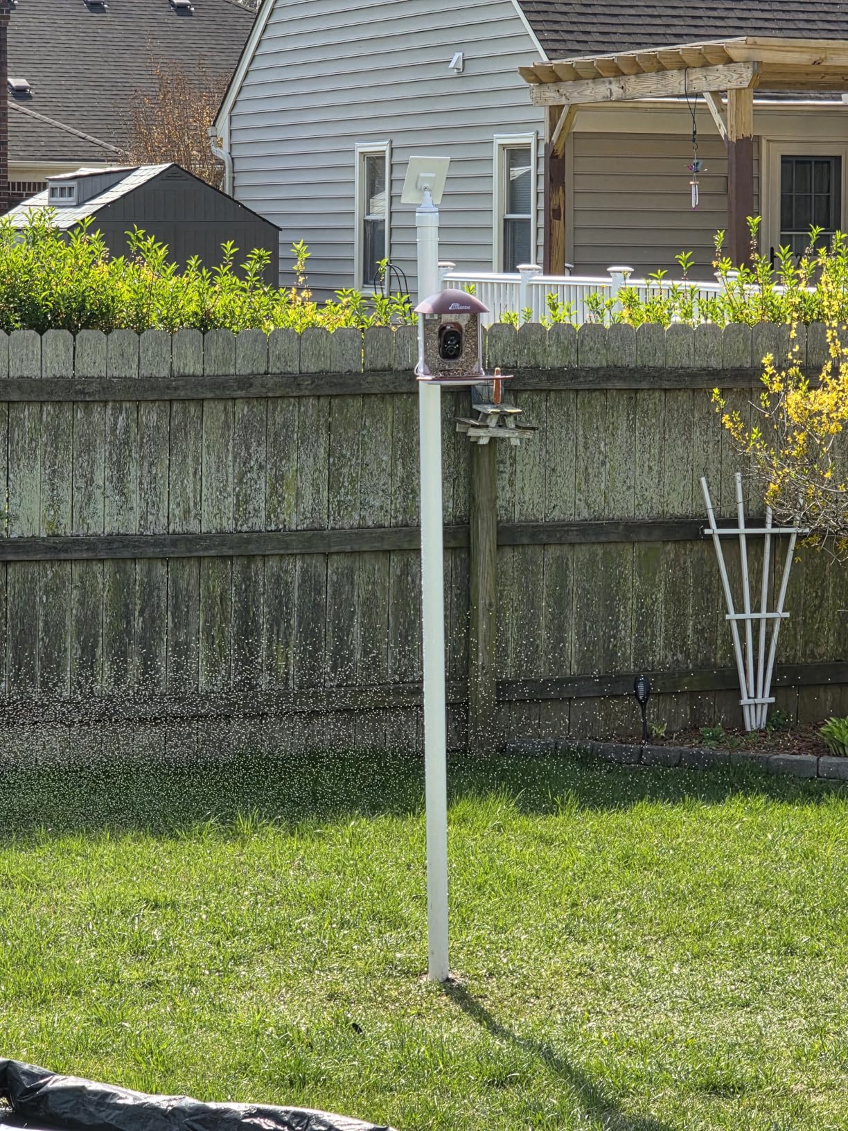 Smart Bird Feeder with Camera Solar Powered, 2.5K HD Birdwatching Camera with Free AI Bird Identification, Instant Notifications & Auto Video Capture, Brown customer photo 1
