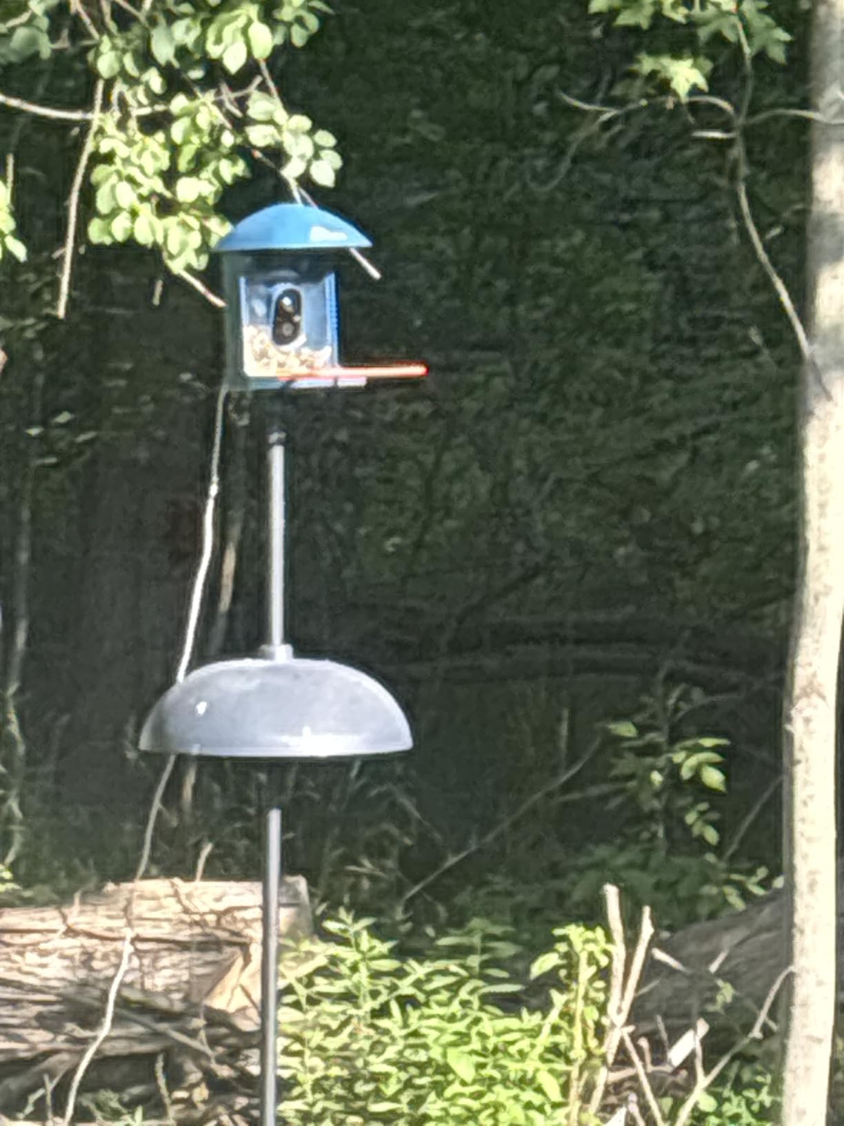 Smart Bird Feeder with Camera Solar Powered, 2.5K HD Birdwatching Camera with Free AI Bird Identification, Instant Notifications & Auto Video Capture, Brown customer photo 2