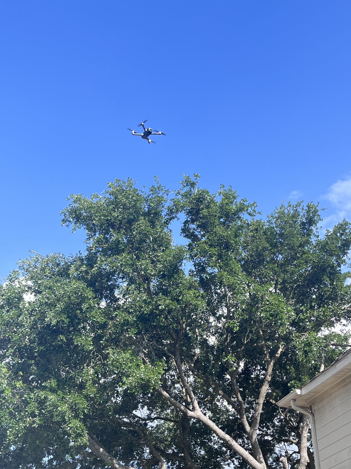 SKYROVER X1 Fly More Combo, Drone with Camera 4K for Adults, 8K Photo, Under 249g, 50000ft Transmission, 96-Min Flight Time with 3 Batteries customer photo 2