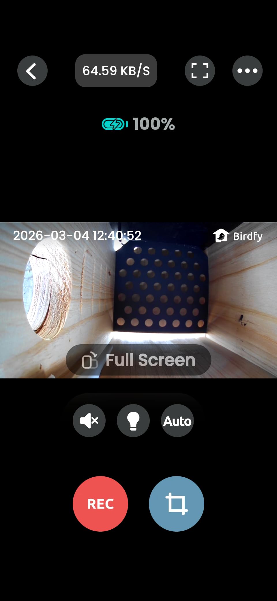 Birdfy Bird House with Camera Solar Powered with Iron Guard for Outside, AI Identify, 1080P HD & Night Vision for Bluebird Finch Swallow Wren Chickadee Nesting Watching, Auto Detect & Notify customer photo 2