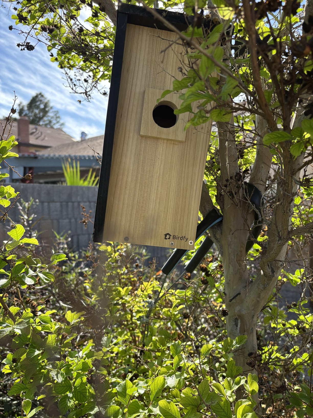 Birdfy Bird House with Camera Inside with Iron Guard, AI Identify & Nest Story, 1080P HD & Night Vision for Bluebird Finch Swallow Wren Chickadee Nesting Watching, Auto Detect & Notify customer photo 2