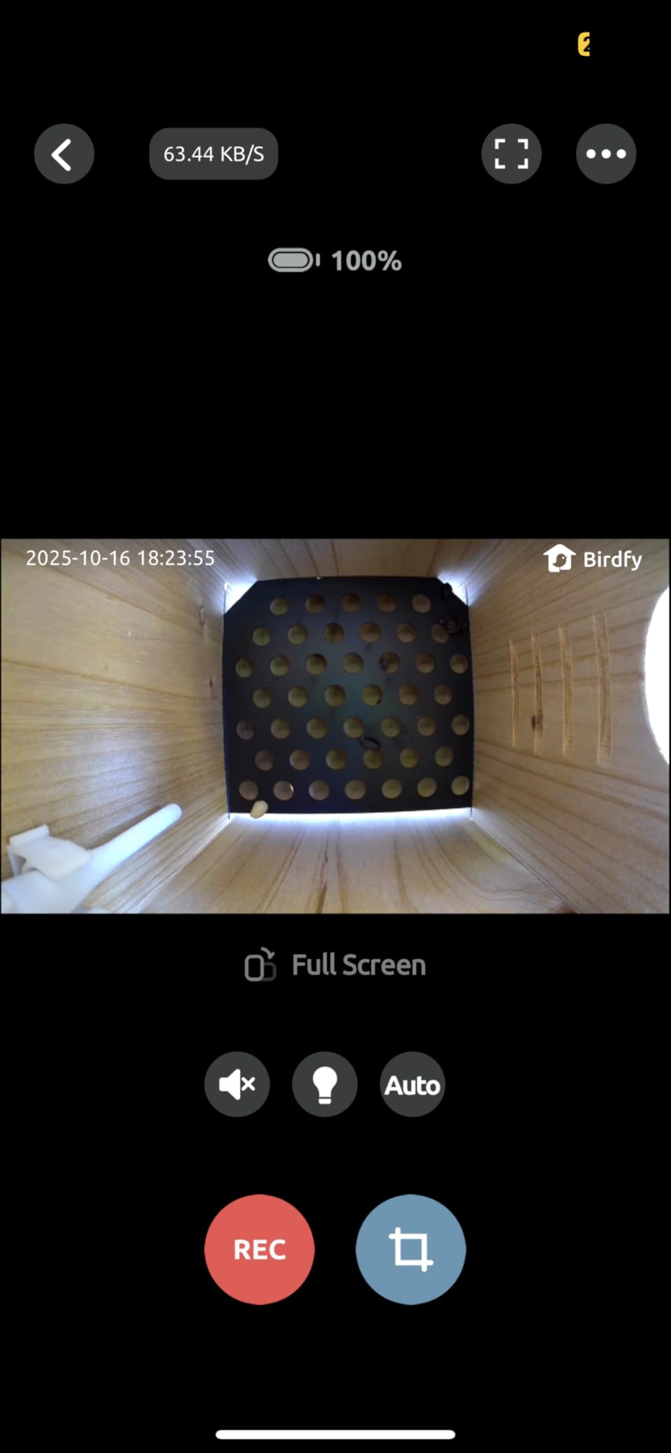Birdfy Smart Bird House with Camera Solar Powered, 1080HD Live Video & Night Vision for 24/7 Nesting Recording, Auto Detect & Notify, Ideal Nature Gift for Bird Lovers, AI Identify Lifetime Free customer photo 2