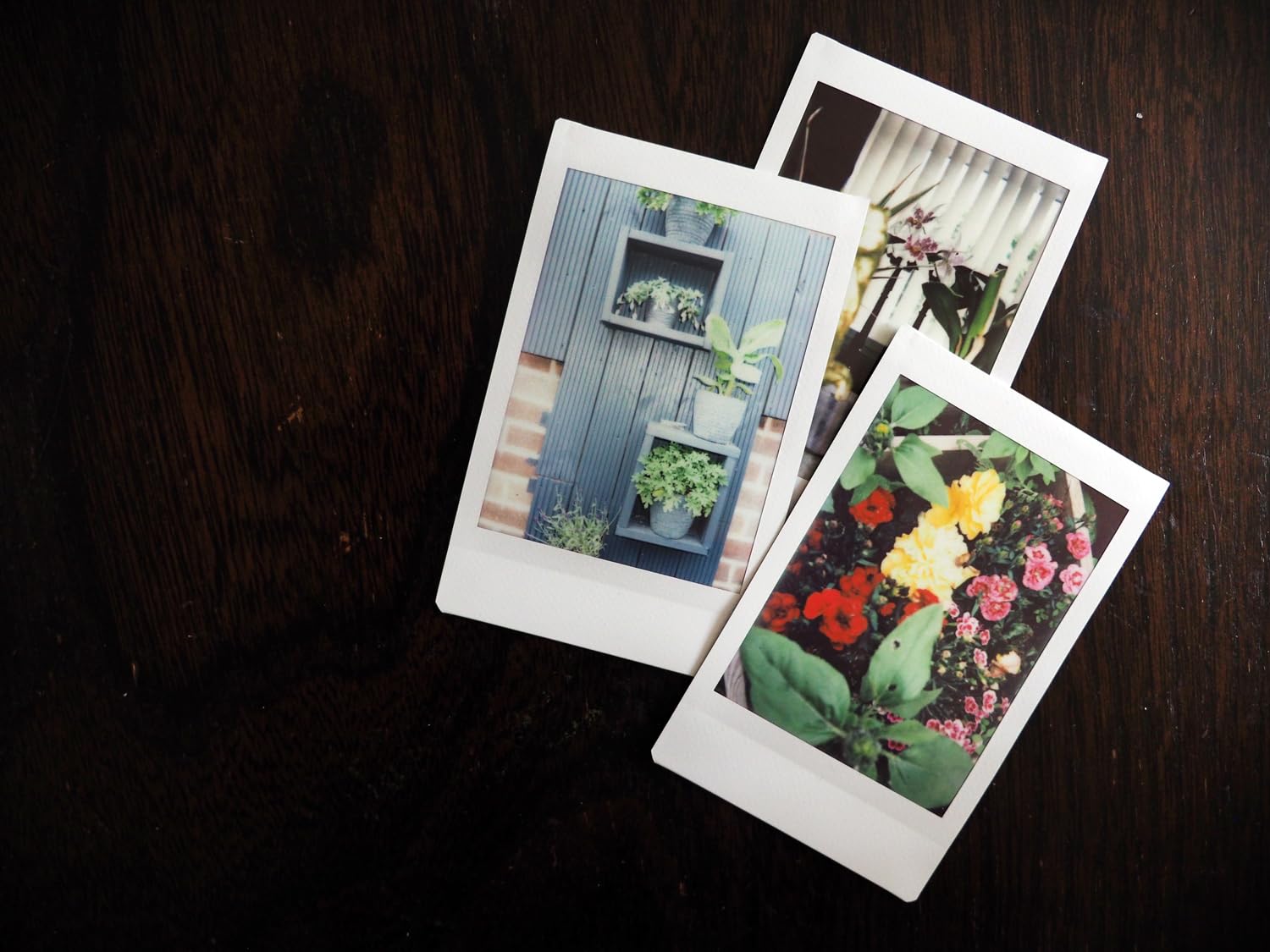 Fujifilm Instax Mini 41 Instant Film Camera Black + 20 Instax Instant Film Prints Bundle customer photo 1